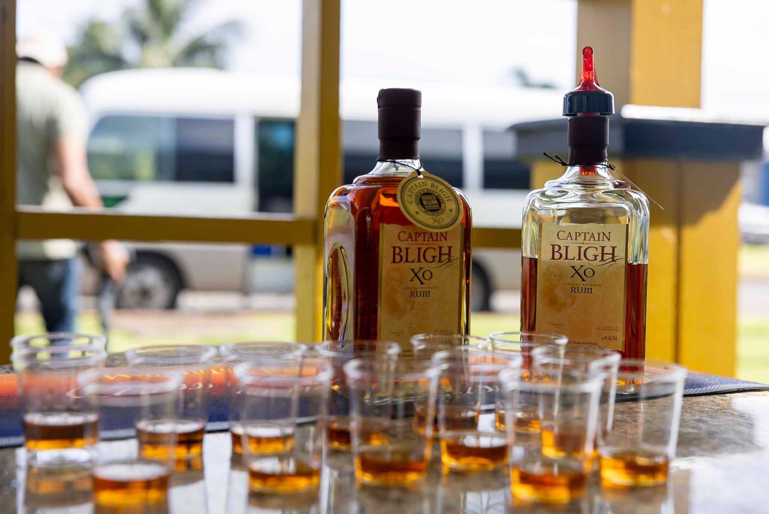 Private Bellemonte Highlights & Rum Experience – photo 1 of 7