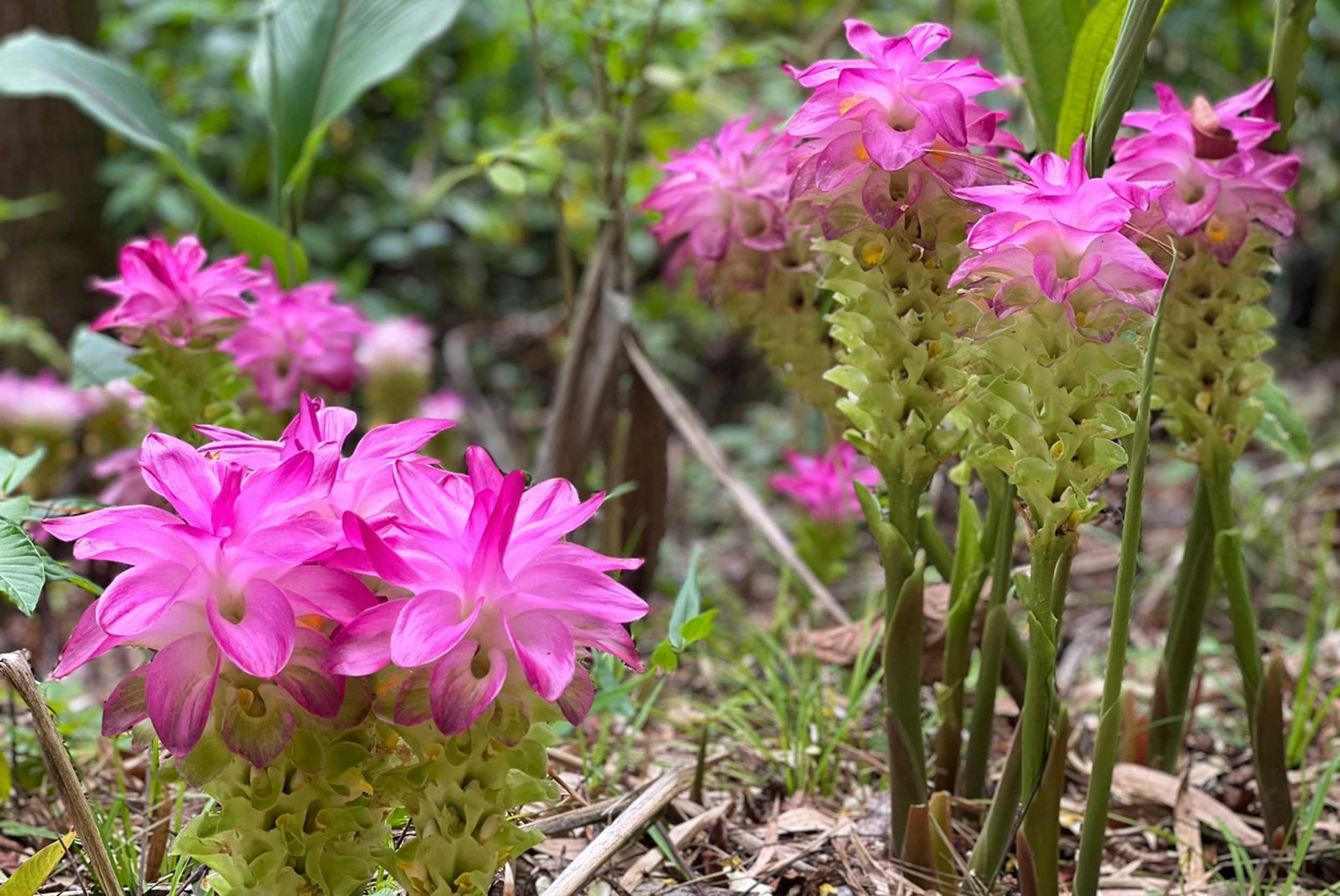 Croydon Eco-Farm Experience – photo 2 of 14