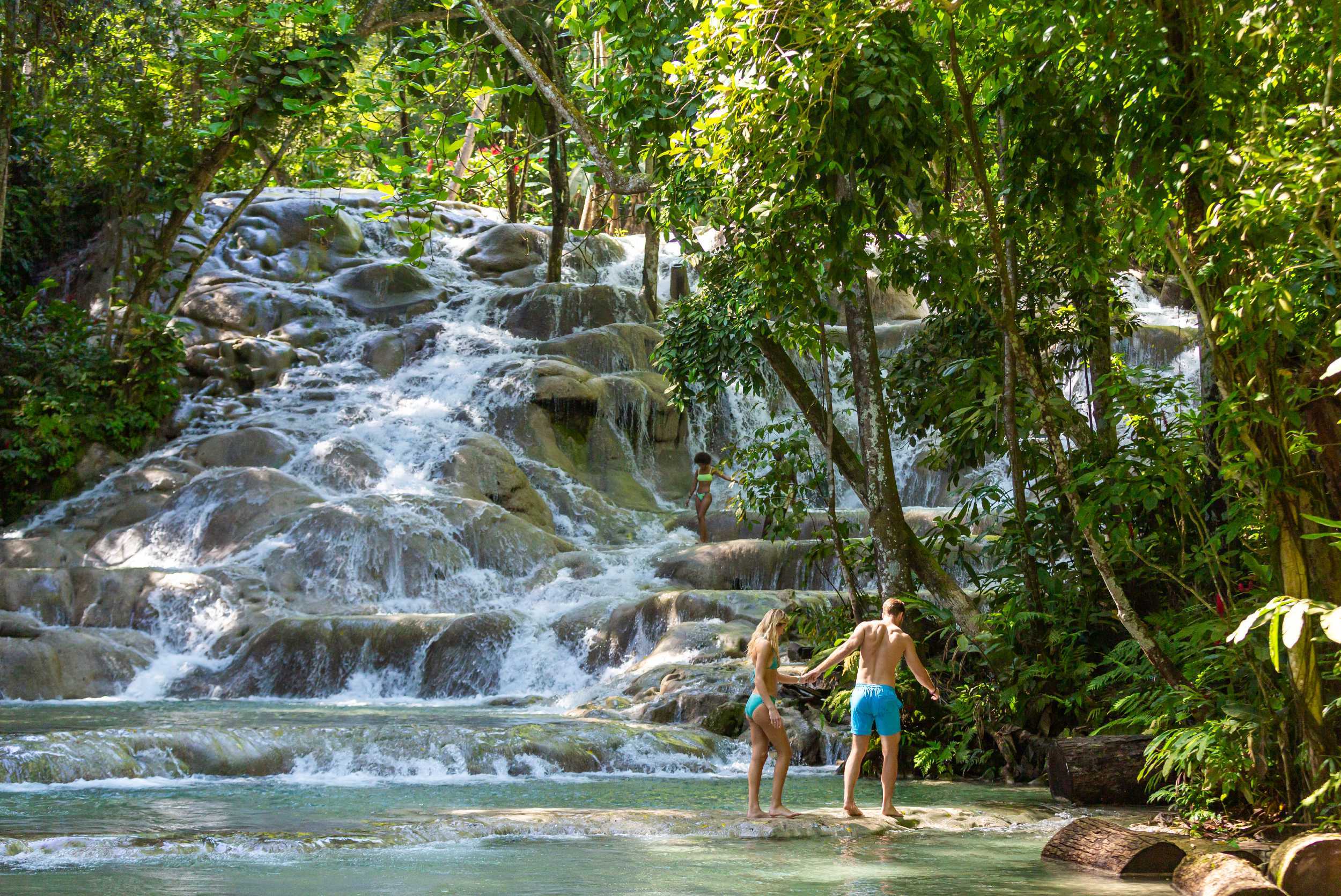 Dolphin Swim and Dunn’s River Falls Experience from Montego Bay – photo 5 of 8