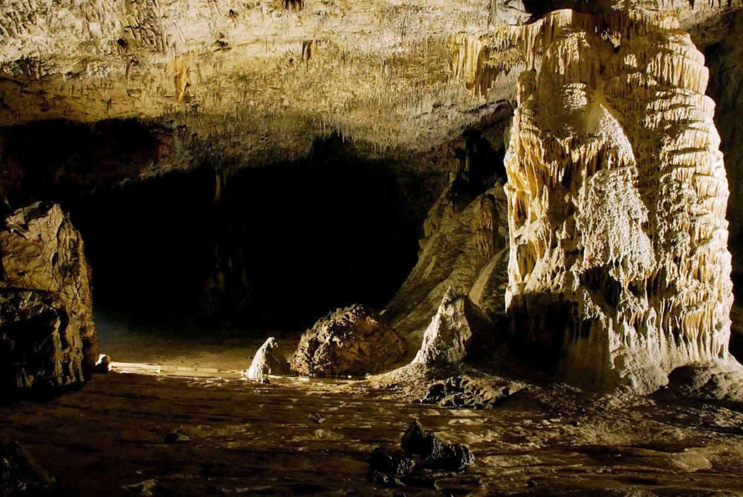 Horseback, ATV & Green Grotto Cave Experience Ocho Rios – photo 2 of 9