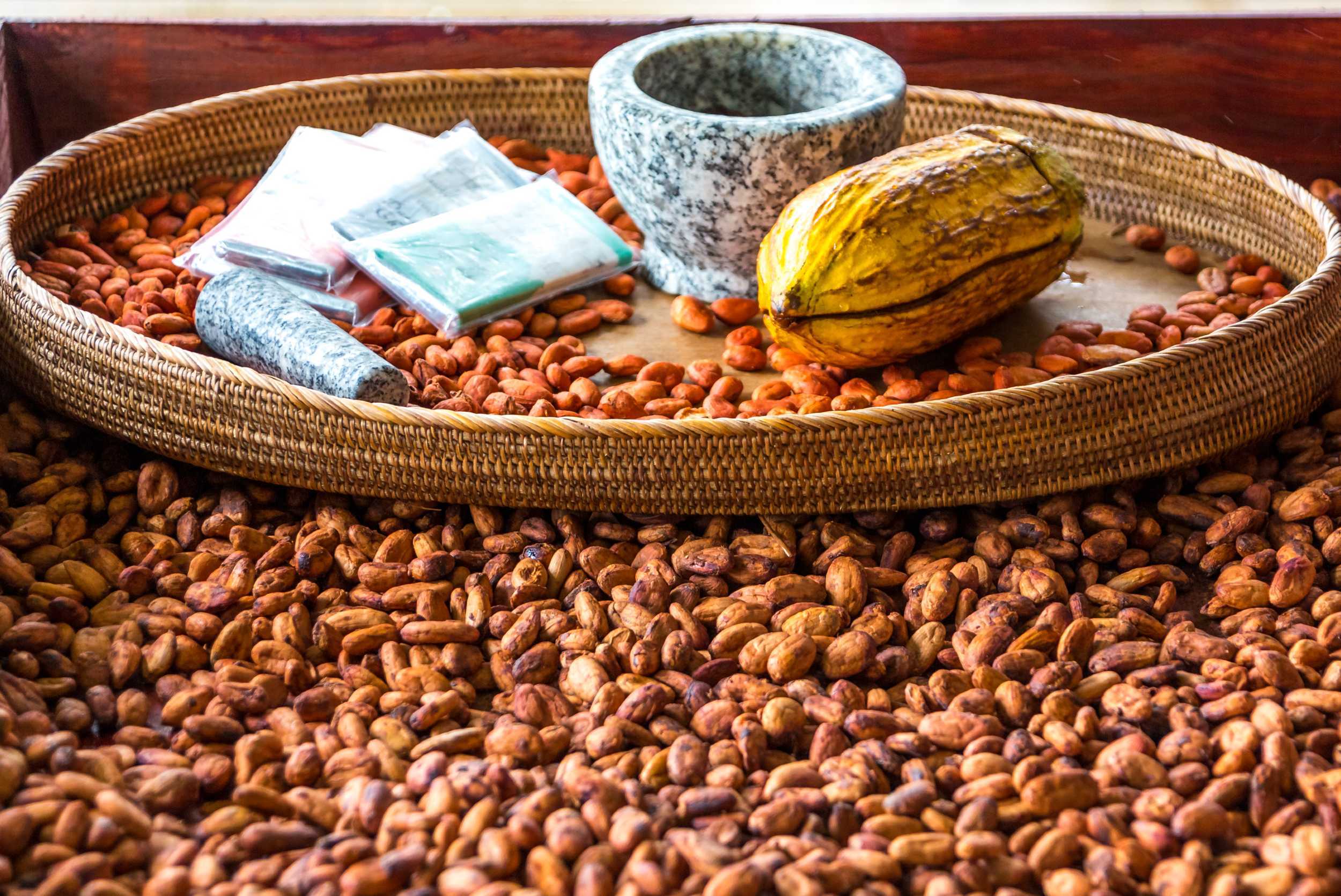 Private Grenada Culinary Delights & Historical Experience – photo 1 of 3