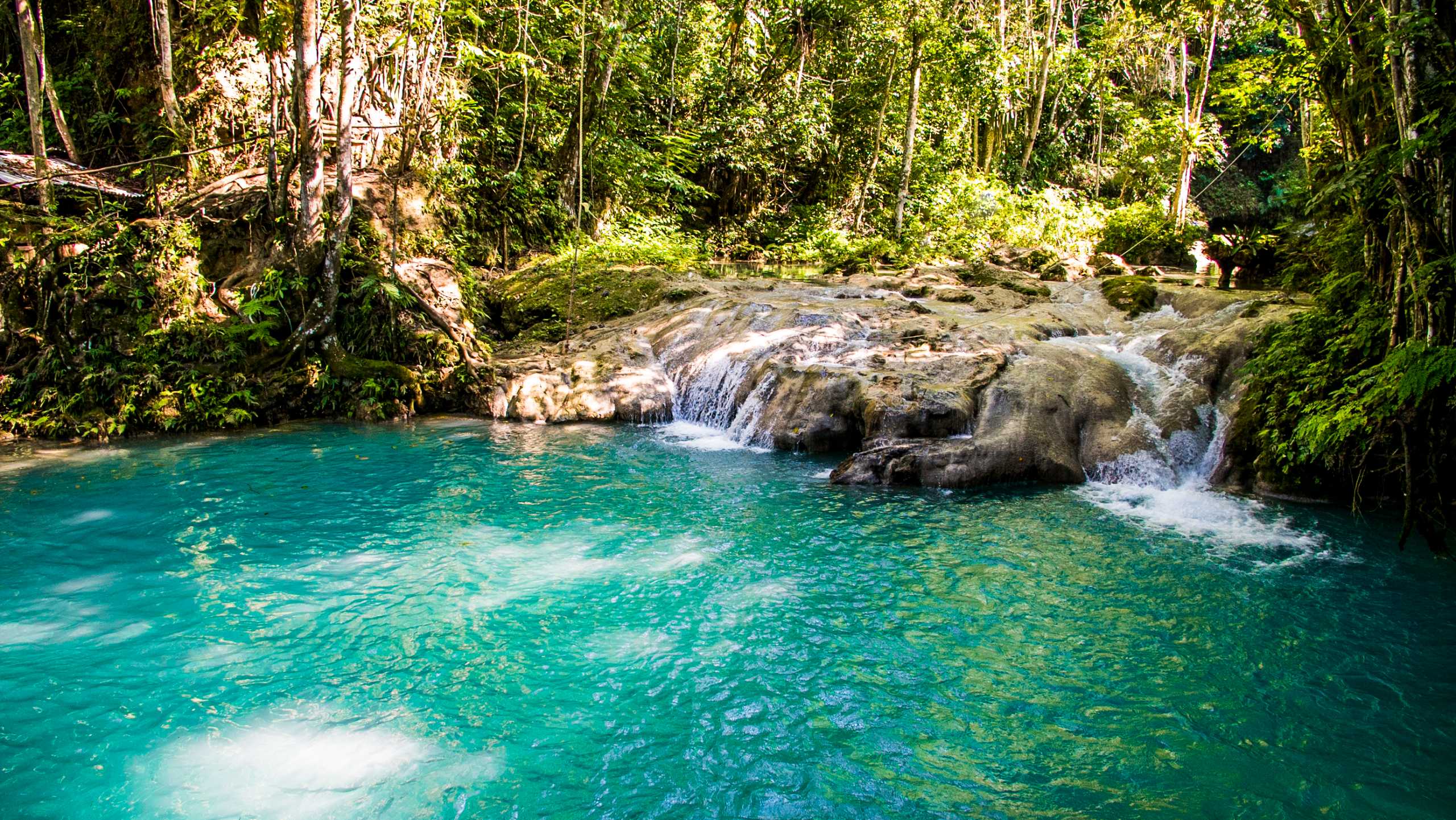 Dunn’s River, Zipline & Blue Hole Experience – photo 5 of 6