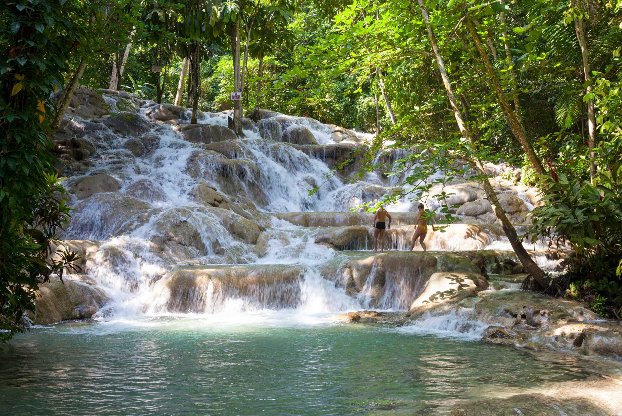 Dunn’s River, Zipline & Blue Hole Experience – photo 2 of 6