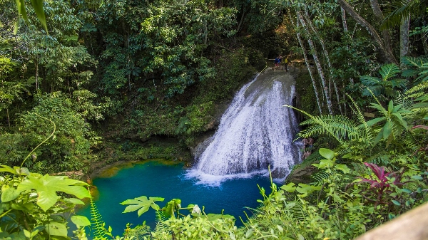 Dunn’s River, Zipline & Blue Hole Experience