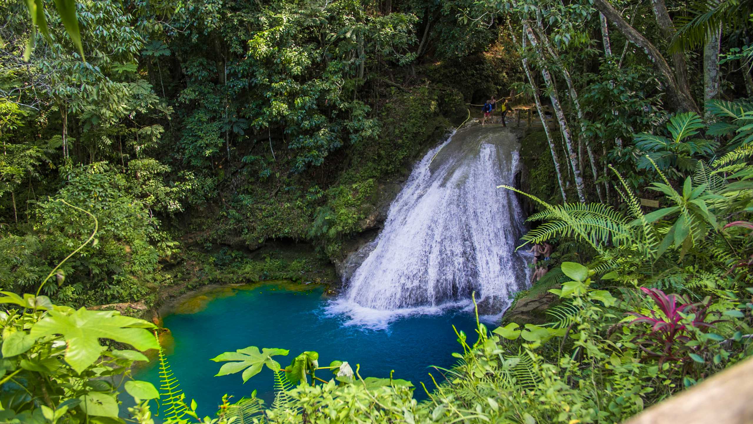 Dunn’s River, Zipline & Blue Hole Experience – photo 1 of 6