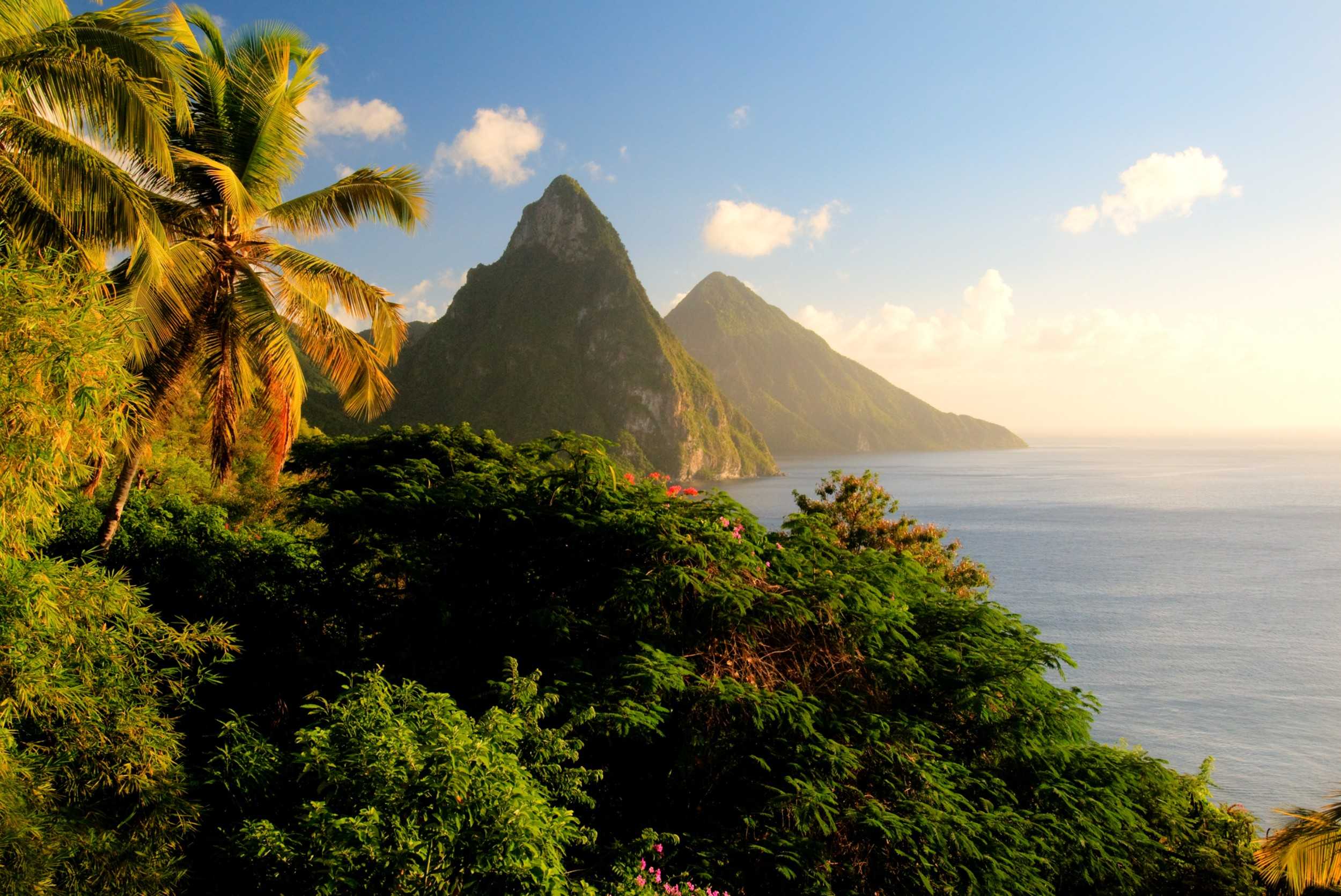 Gros Piton Hike from Castries/Vieux Fort – photo 4 of 4