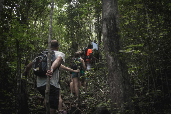 Gros Piton Hike from Castries/Vieux Fort