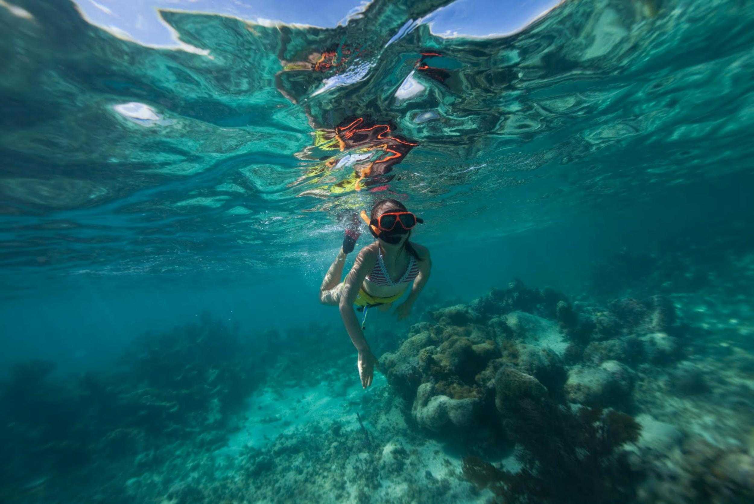 Snorkeler exploring coral beneath clear Caribbean water