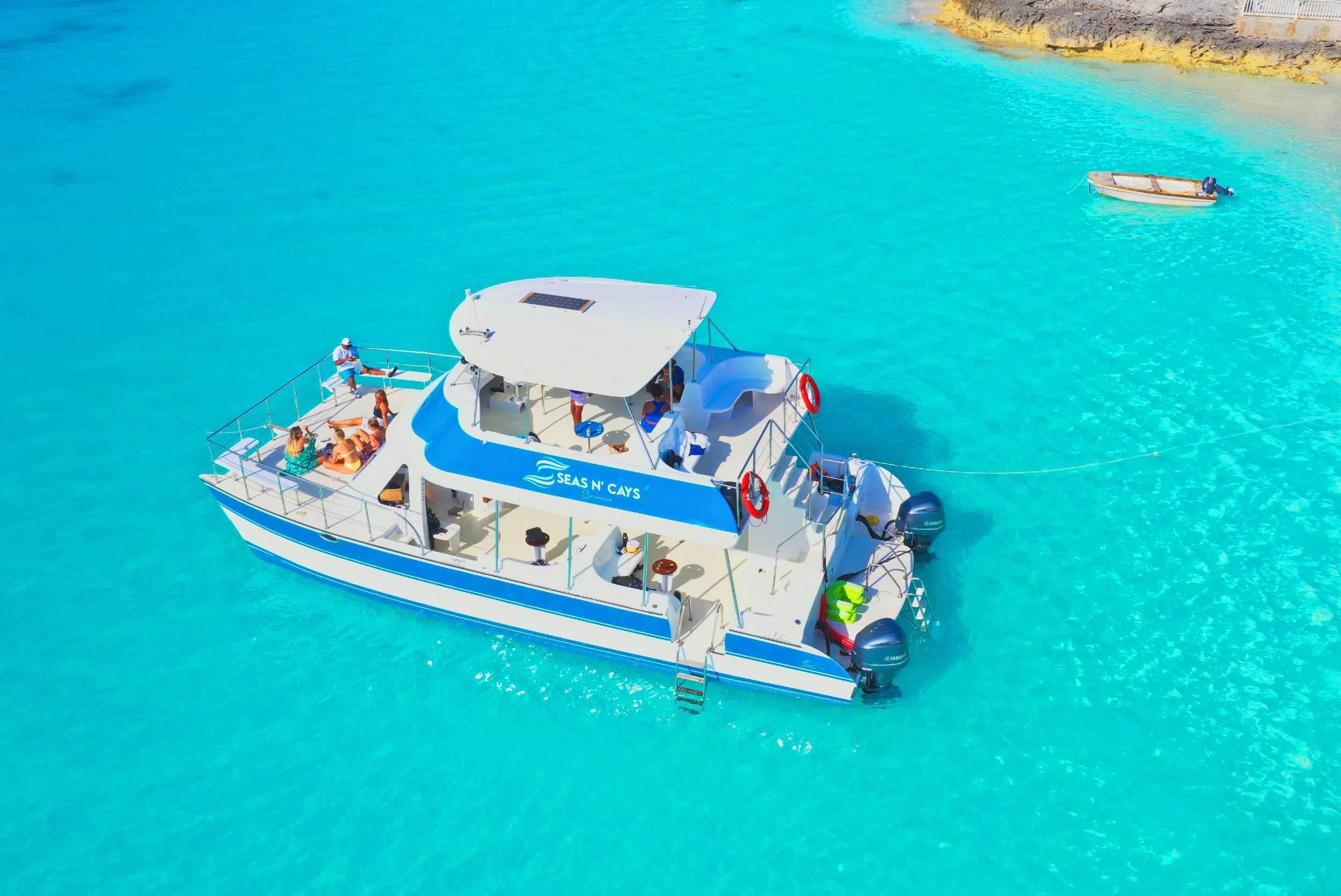 Rose Island Catamaran & Pig Interaction – photo 2 of 4