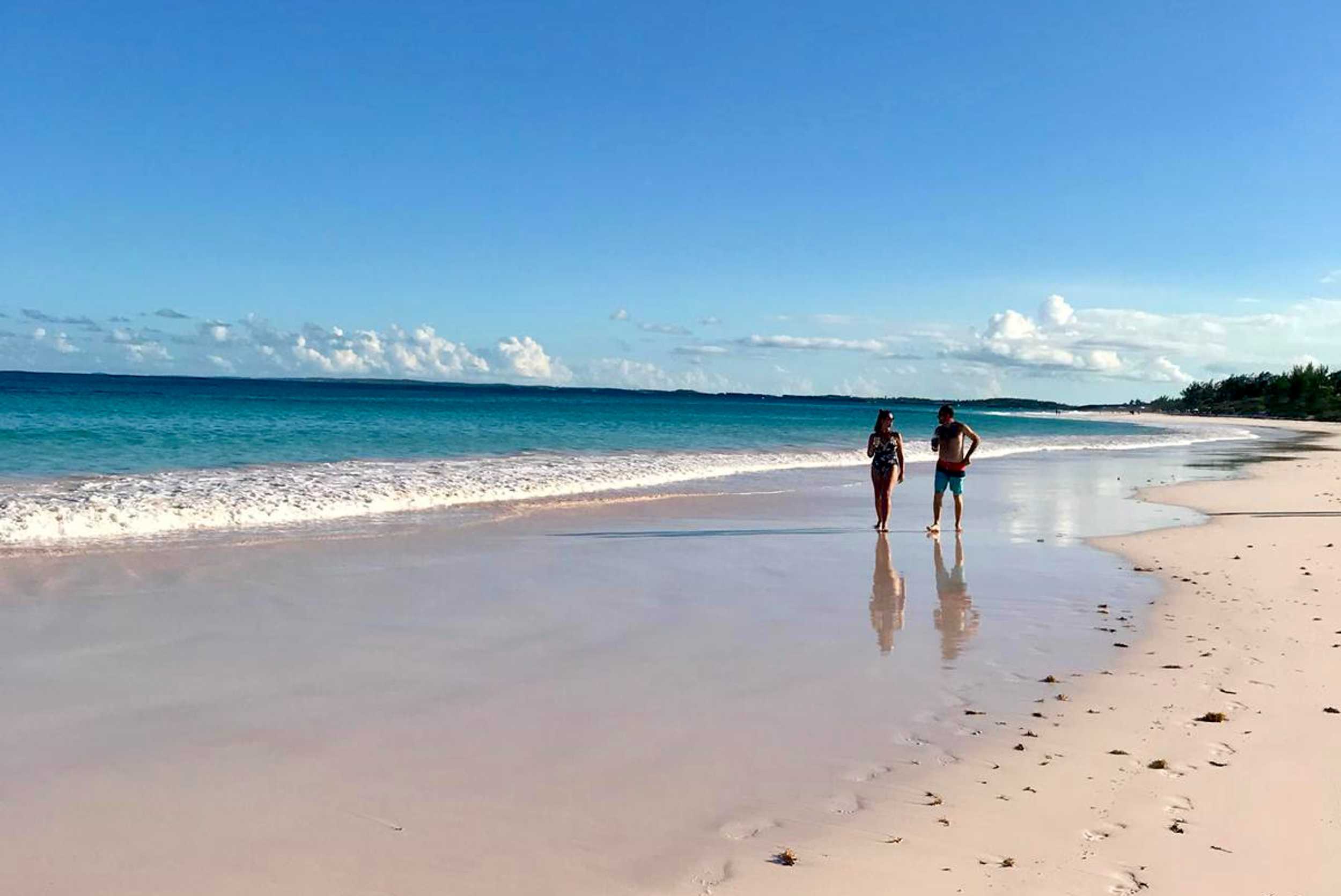 Private Eleuthera Pink Sands Experience and Swimming Pigs – photo 4 of 6
