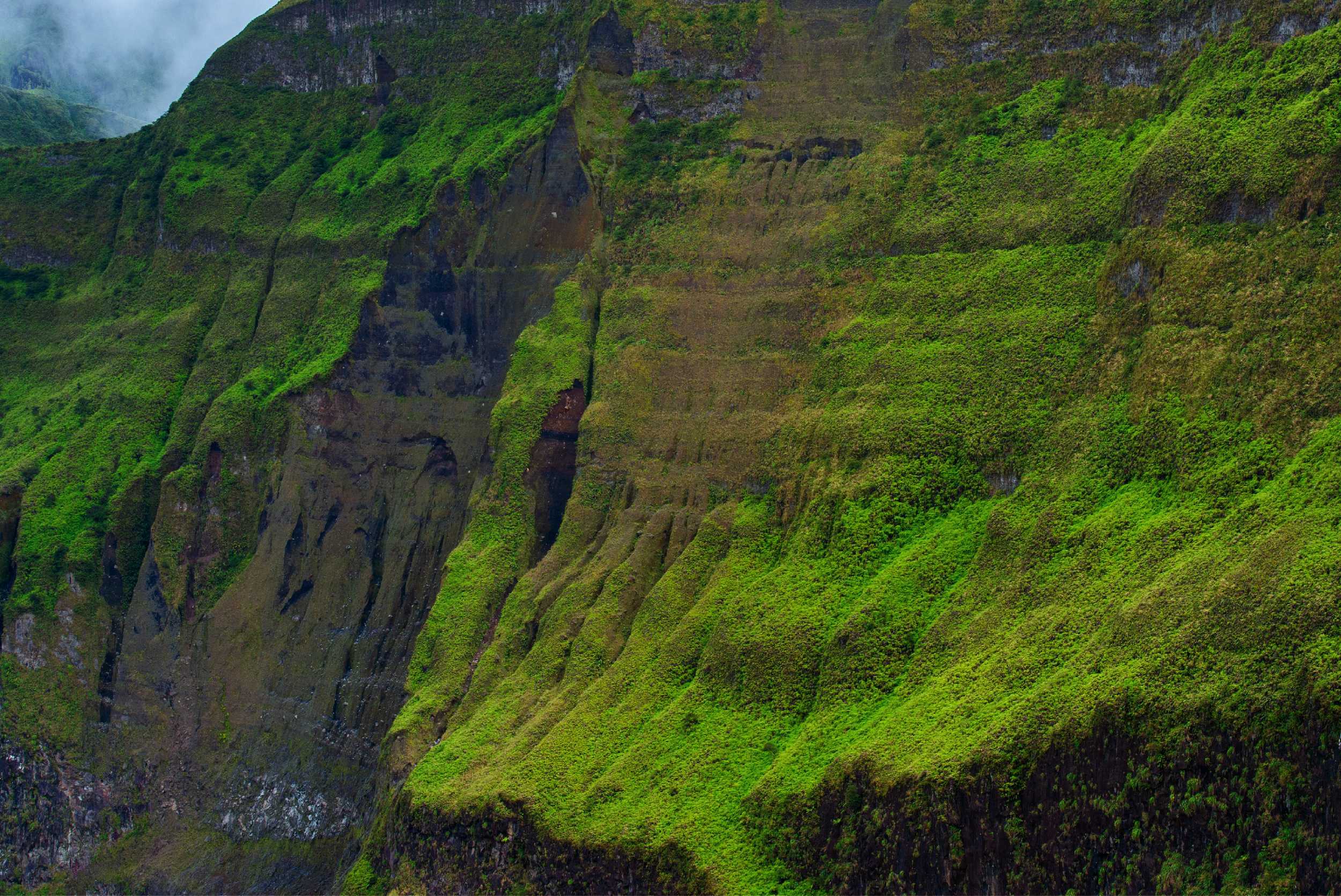 Private La Soufriere Windward Hike – photo 2 of 7