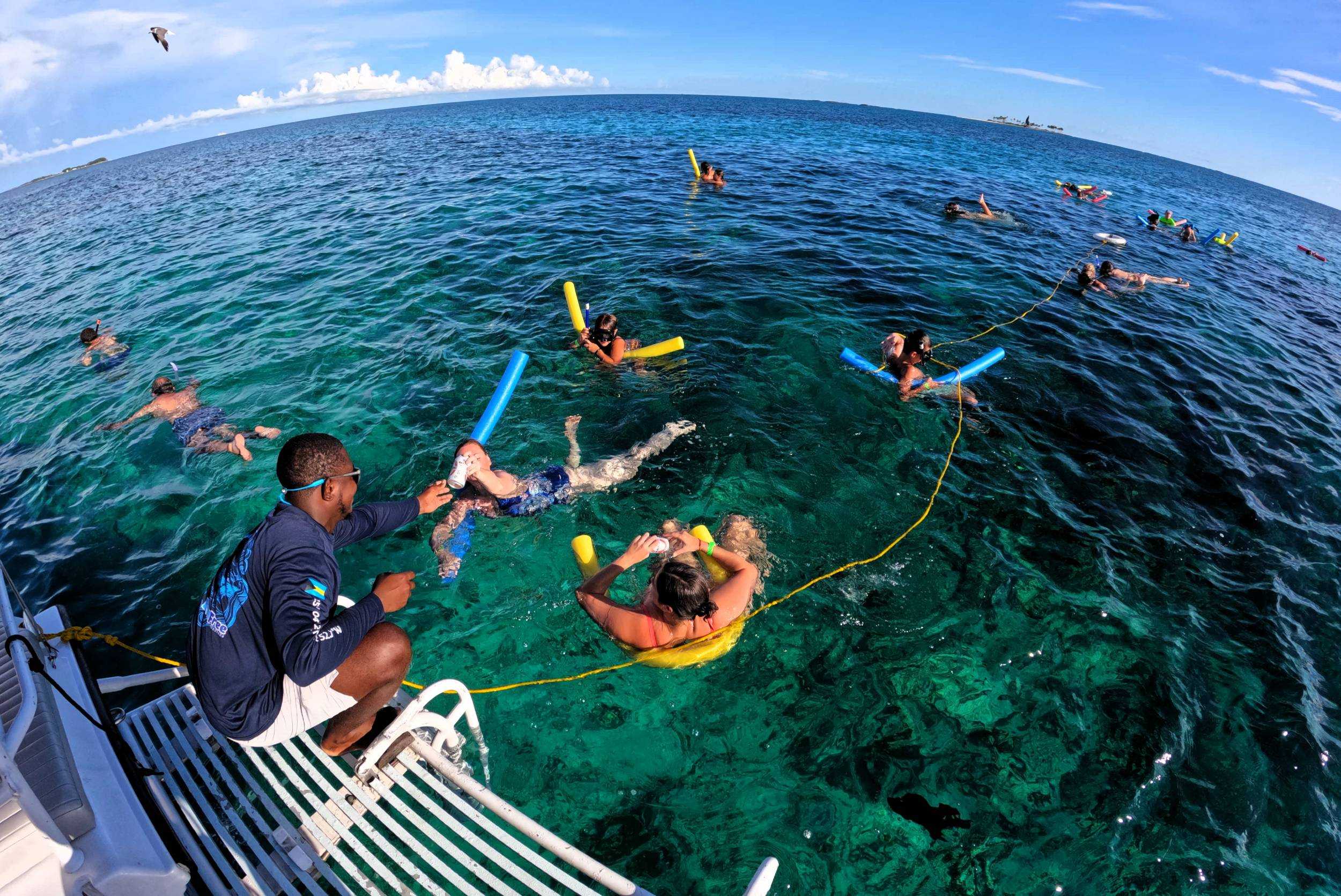 Private Rose Island Pig Interaction & Snorkeling Experience- 41ft Jalapeno-8 hrs (1- 19pax) – photo 2 of 5
