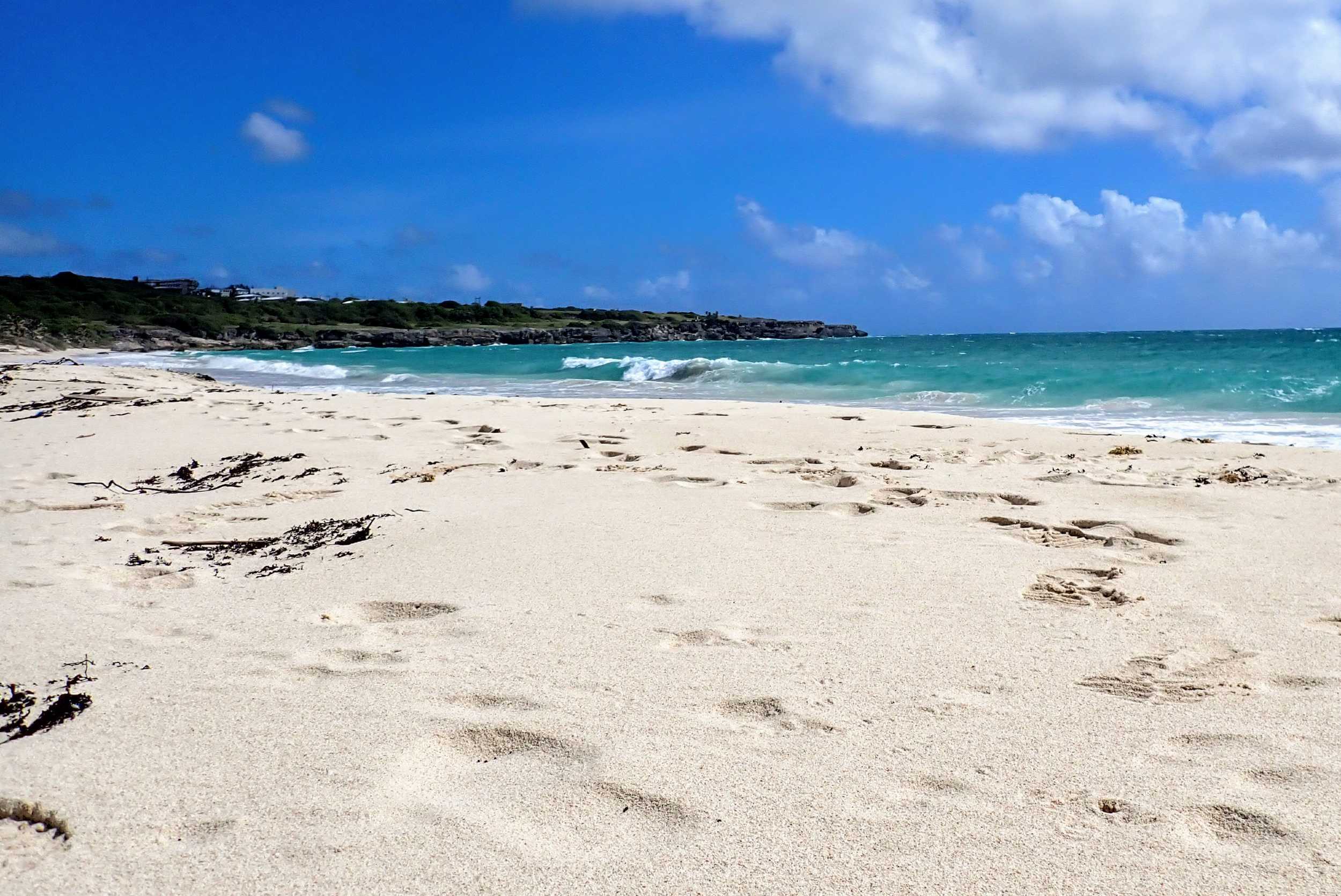 Barbados Hike and Sightseeing Experience – photo 5 of 5