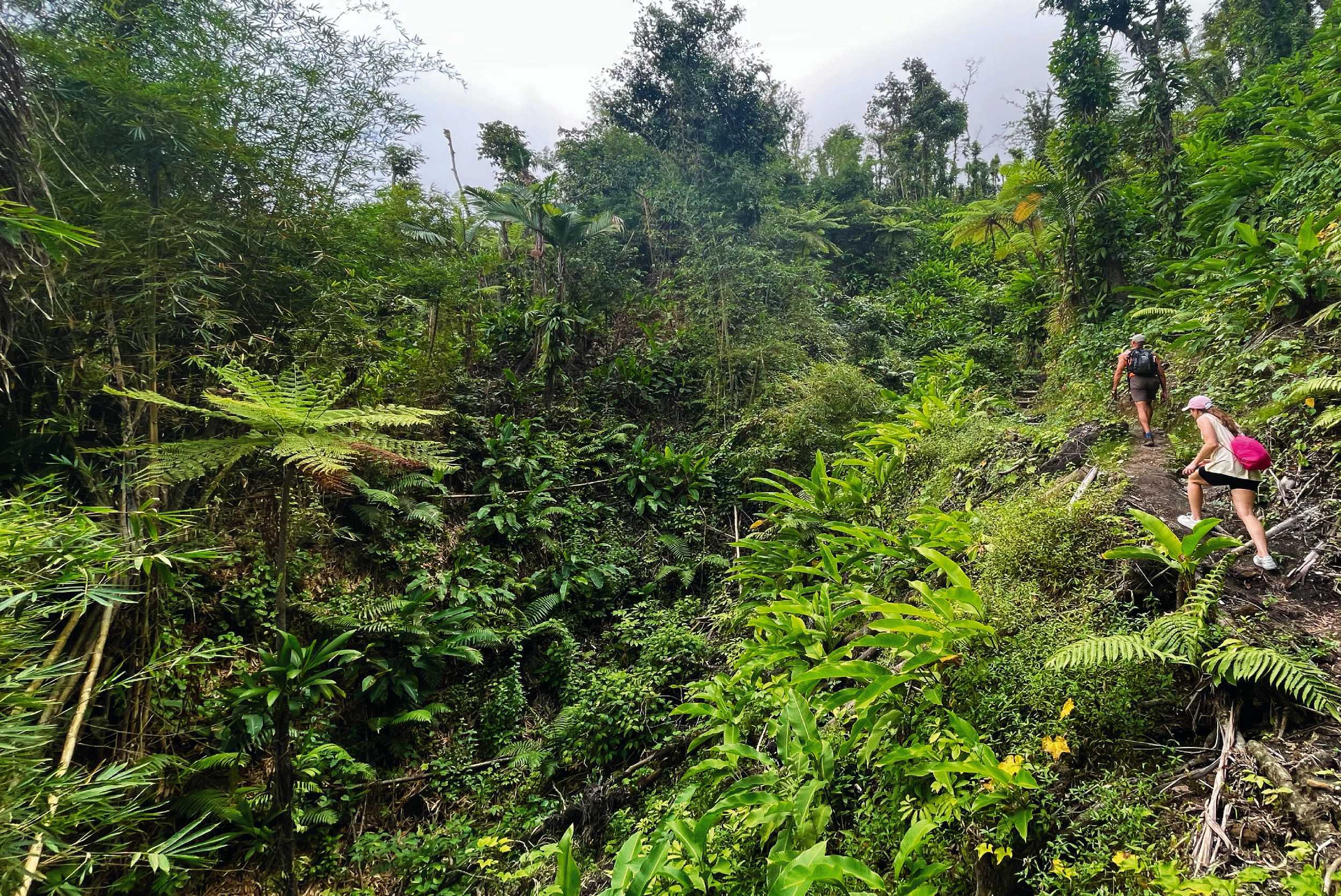 La Soufrière Volcano Hike