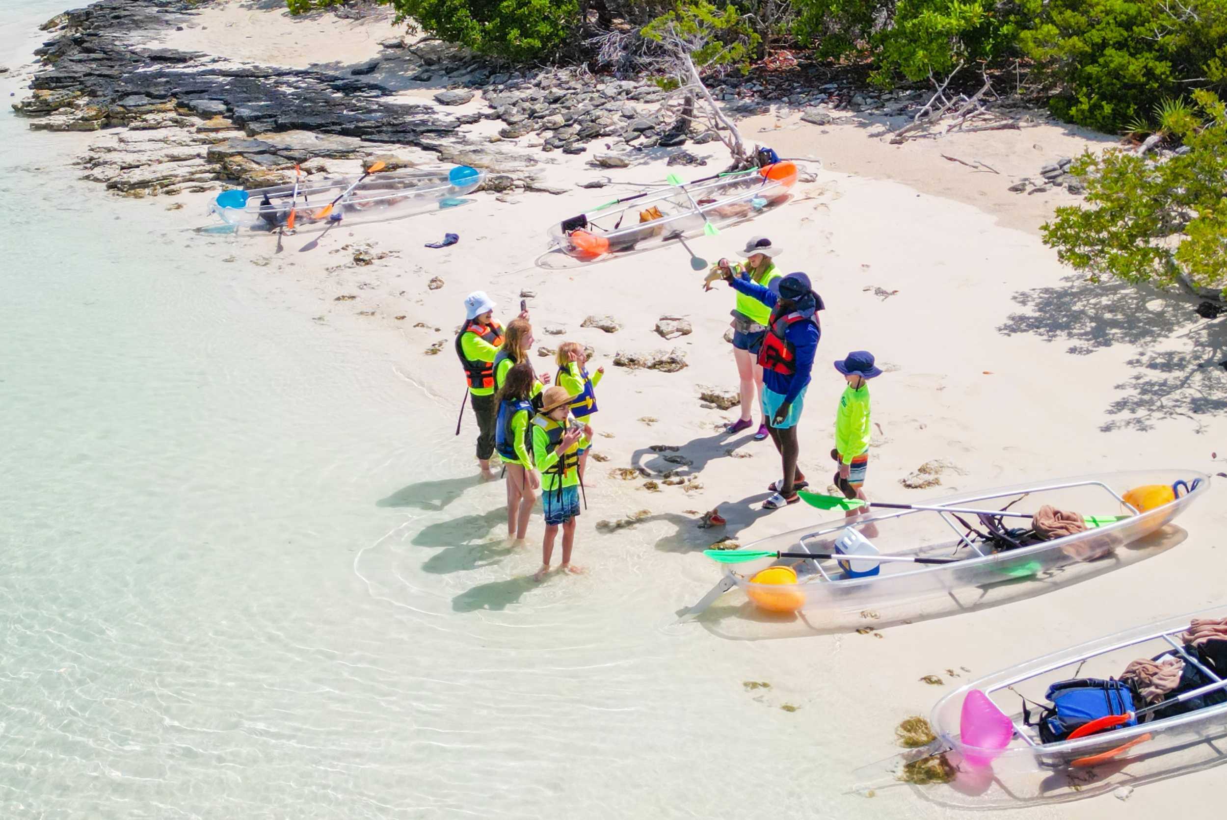 Clear Kayak Mangrove & Iguana Island Experience Turks & Caicos – photo 3 of 9