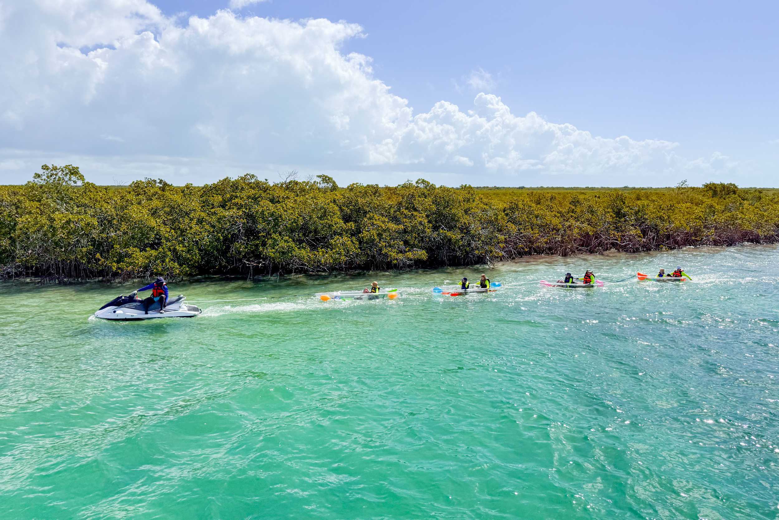 Clear Kayak Mangrove Adventure Turks & Caicos – photo 3 of 6