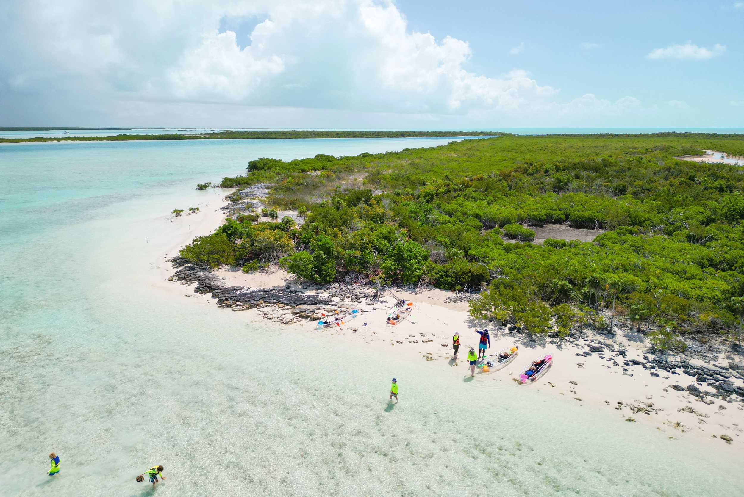 Clear Kayak Mangrove Adventure Turks & Caicos – photo 5 of 6