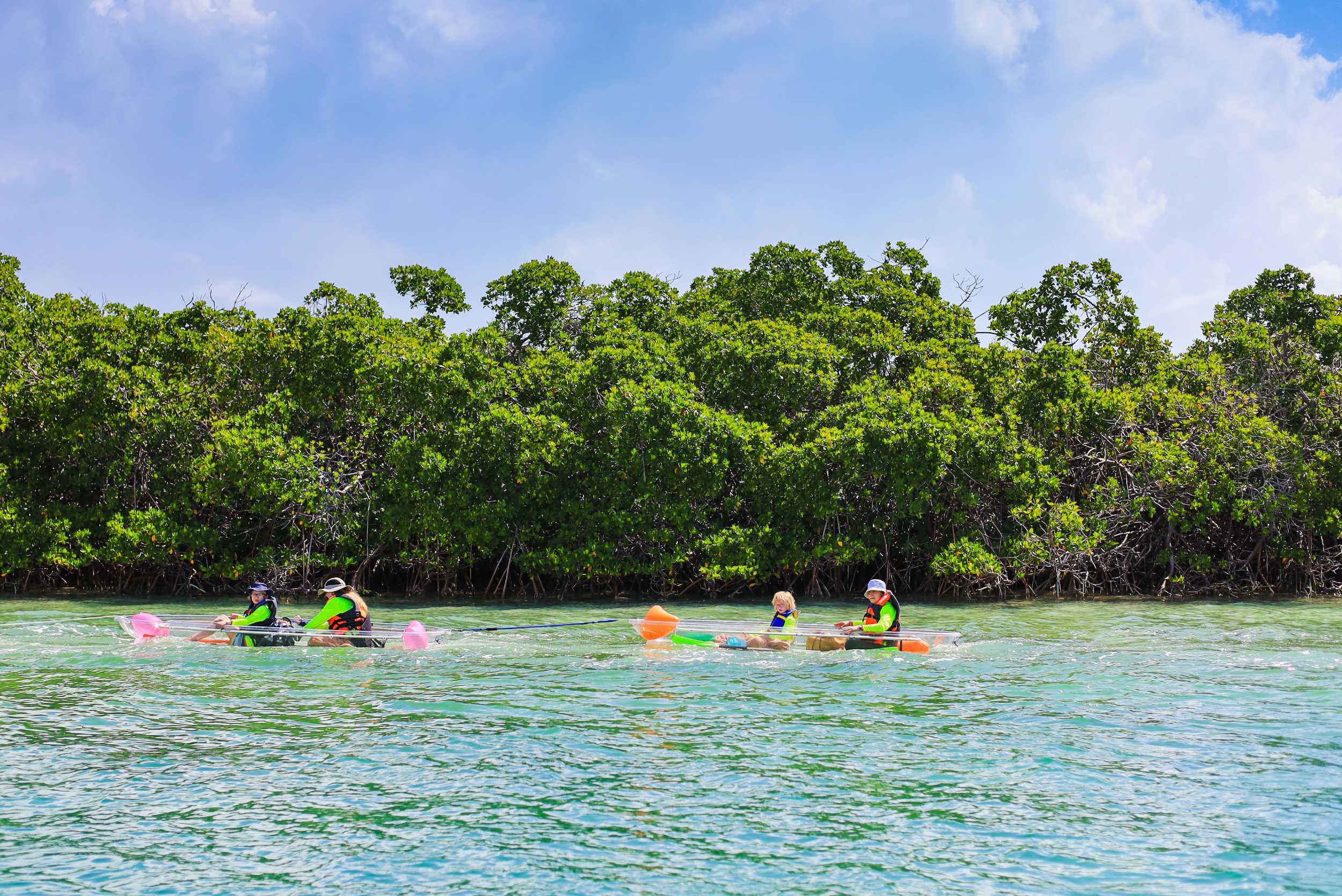 Clear Kayak Mangrove Adventure Turks & Caicos – photo 1 of 6