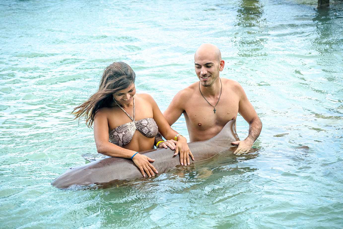 Shark Encounter Lucea – photo 2 of 5