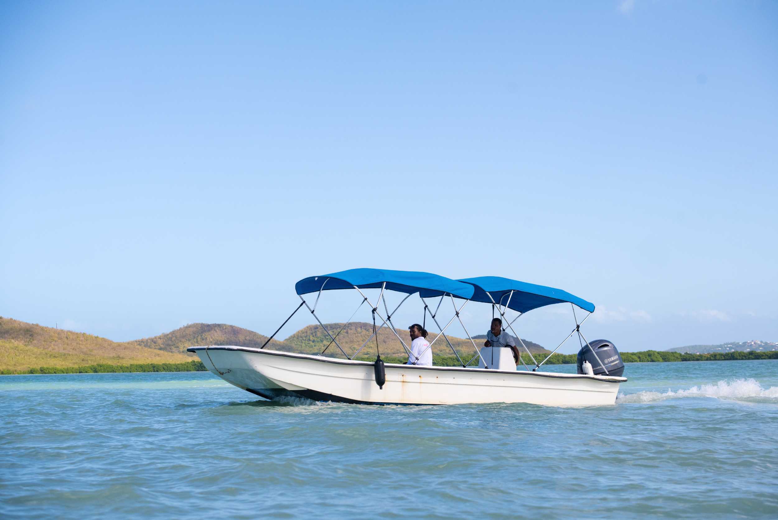 Antigua Pig Interaction & Beach Experience – photo 4 of 4