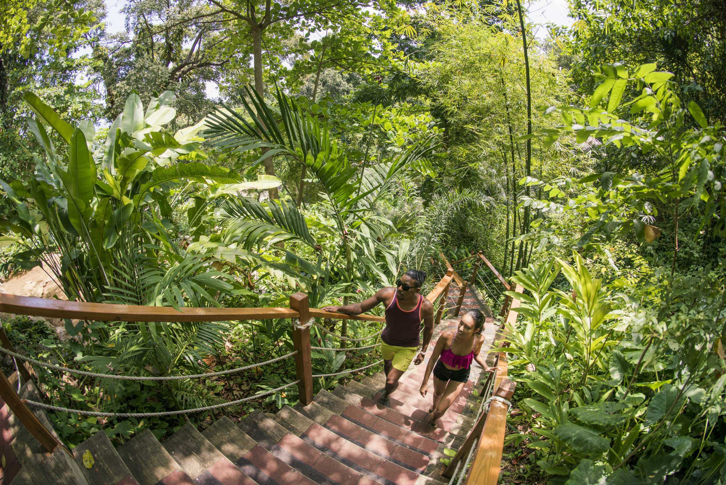 Private Konoko Falls Rainforest Trek – photo 3 of 5