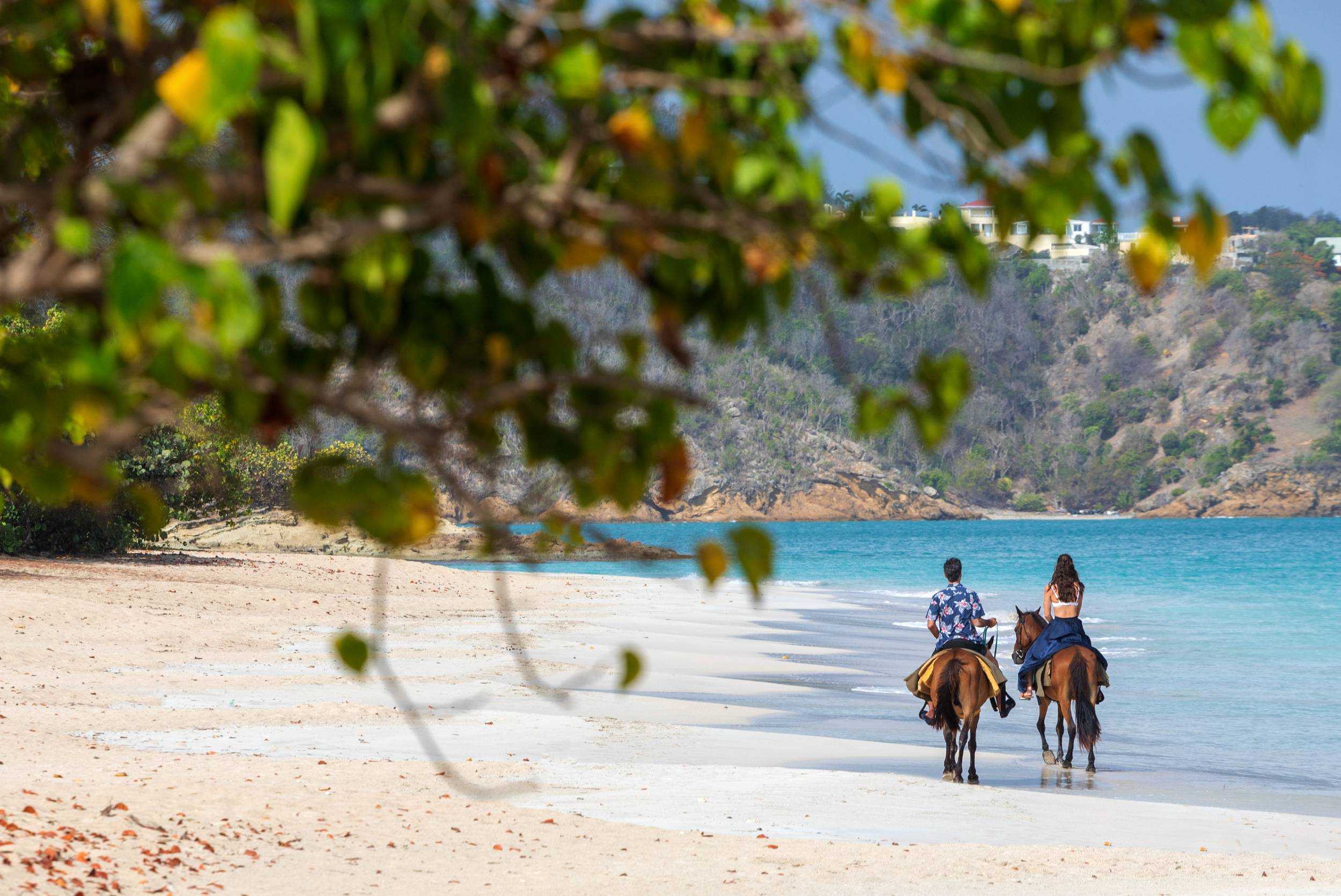 Horseback Beach Ride Antigua – photo 4 of 5