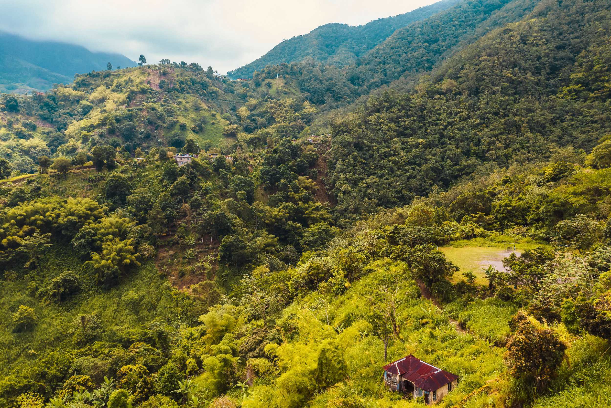 Blue Mountain Hike, Holywell, and Coffee Experience – photo 4 of 6