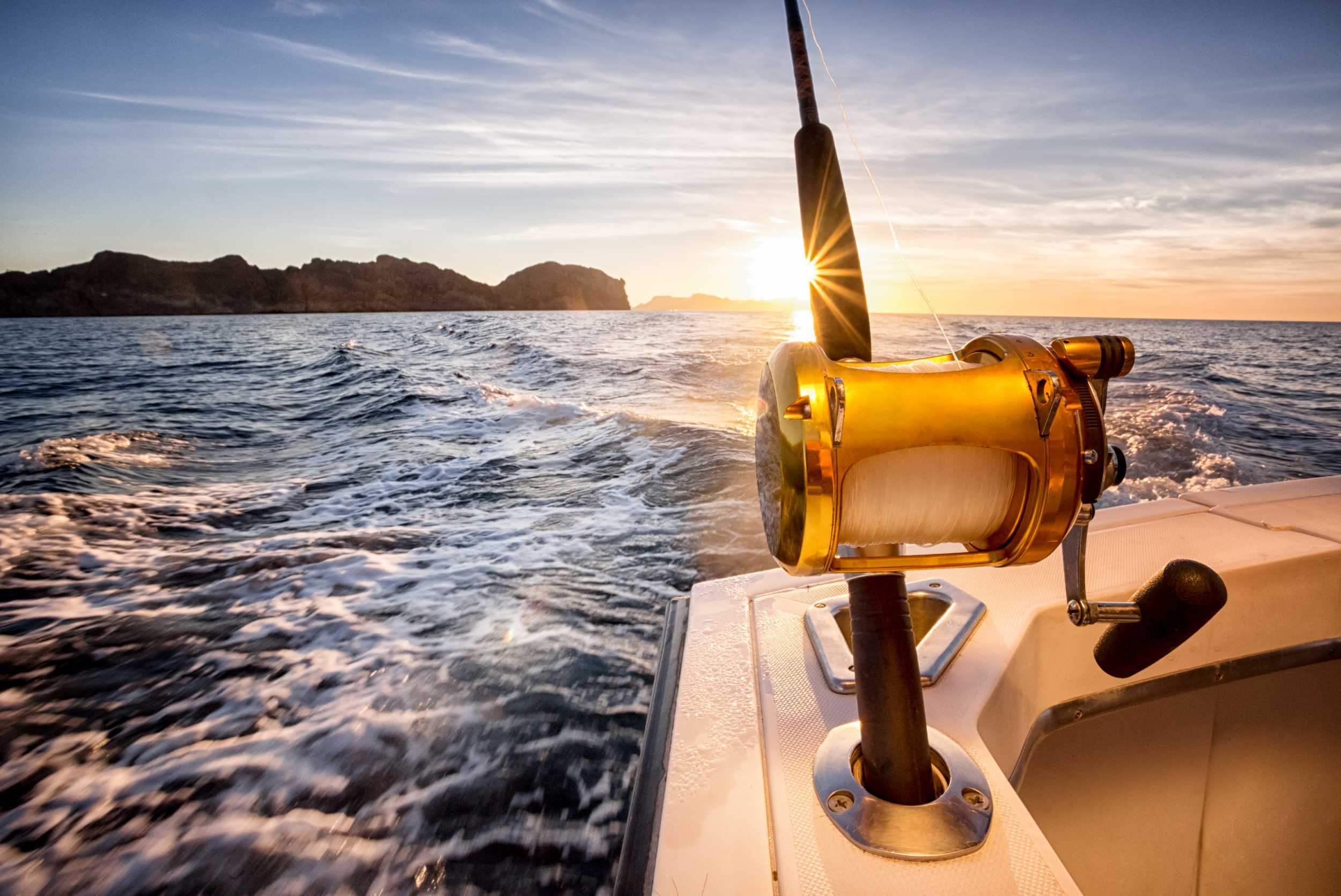 Half Day Marlin Charter – photo 1 of 3