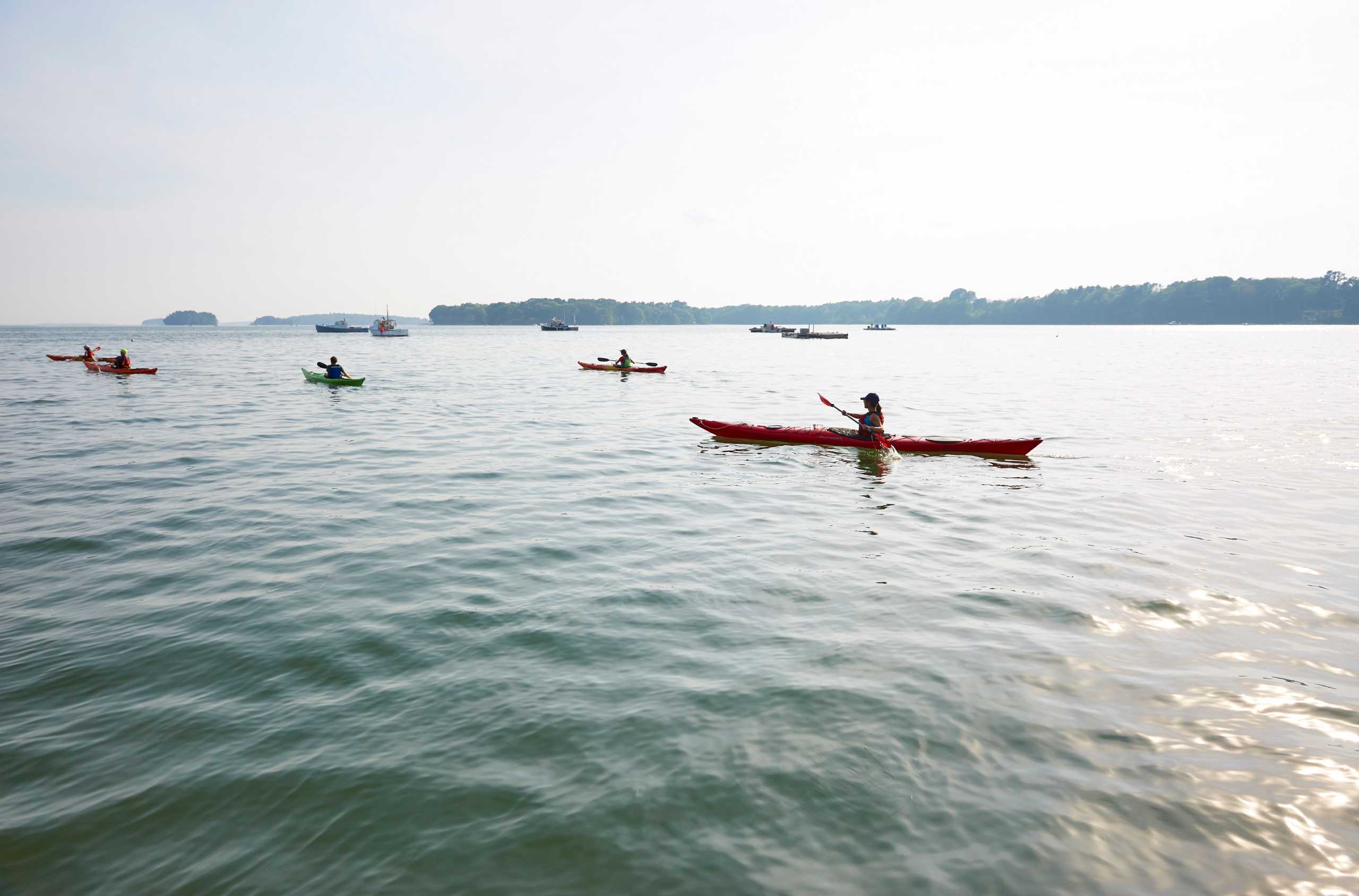 Maine Guided Kayak Tour, Solo Kayak