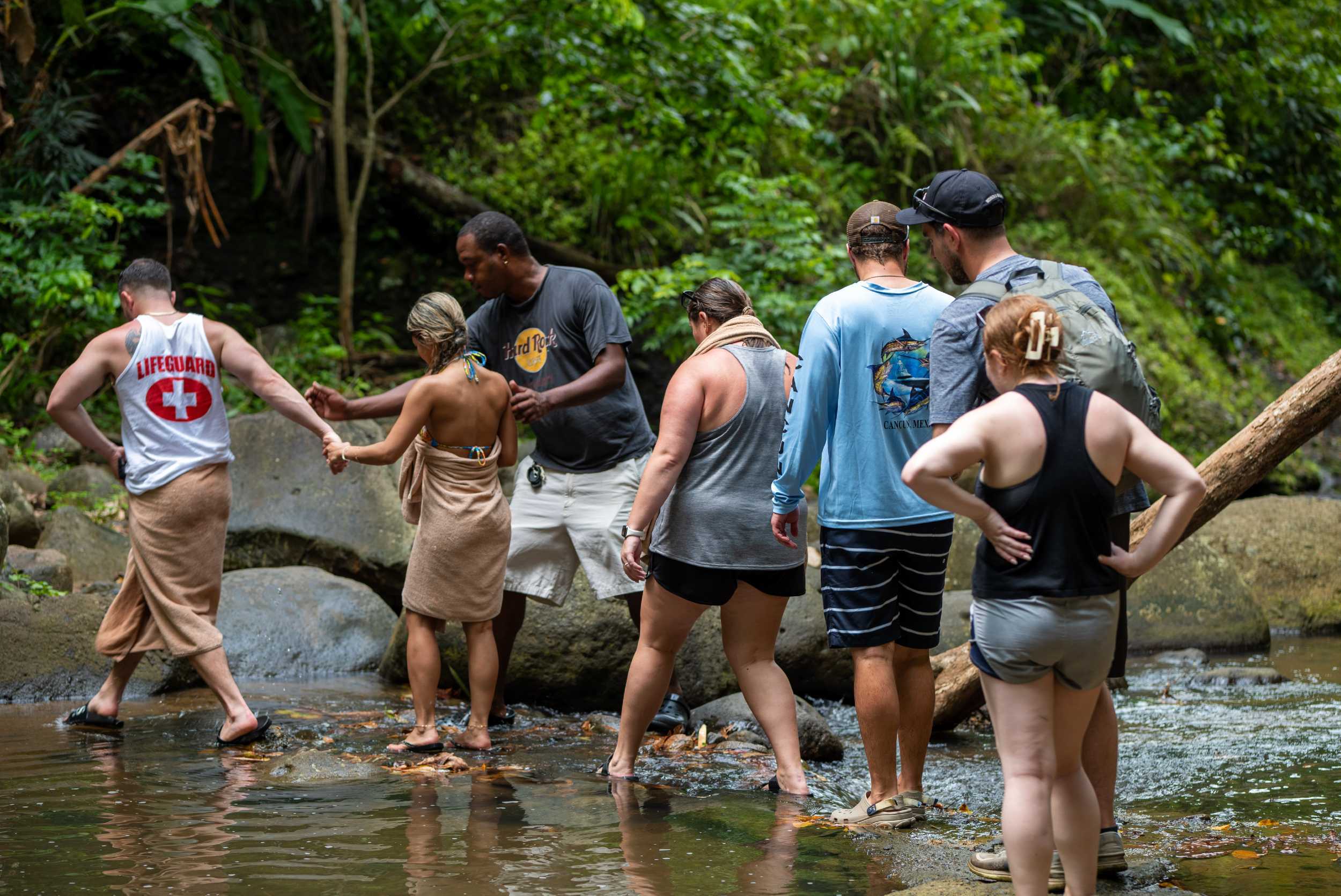 Rainforest Hike & Waterfall Safari – photo 5 of 7