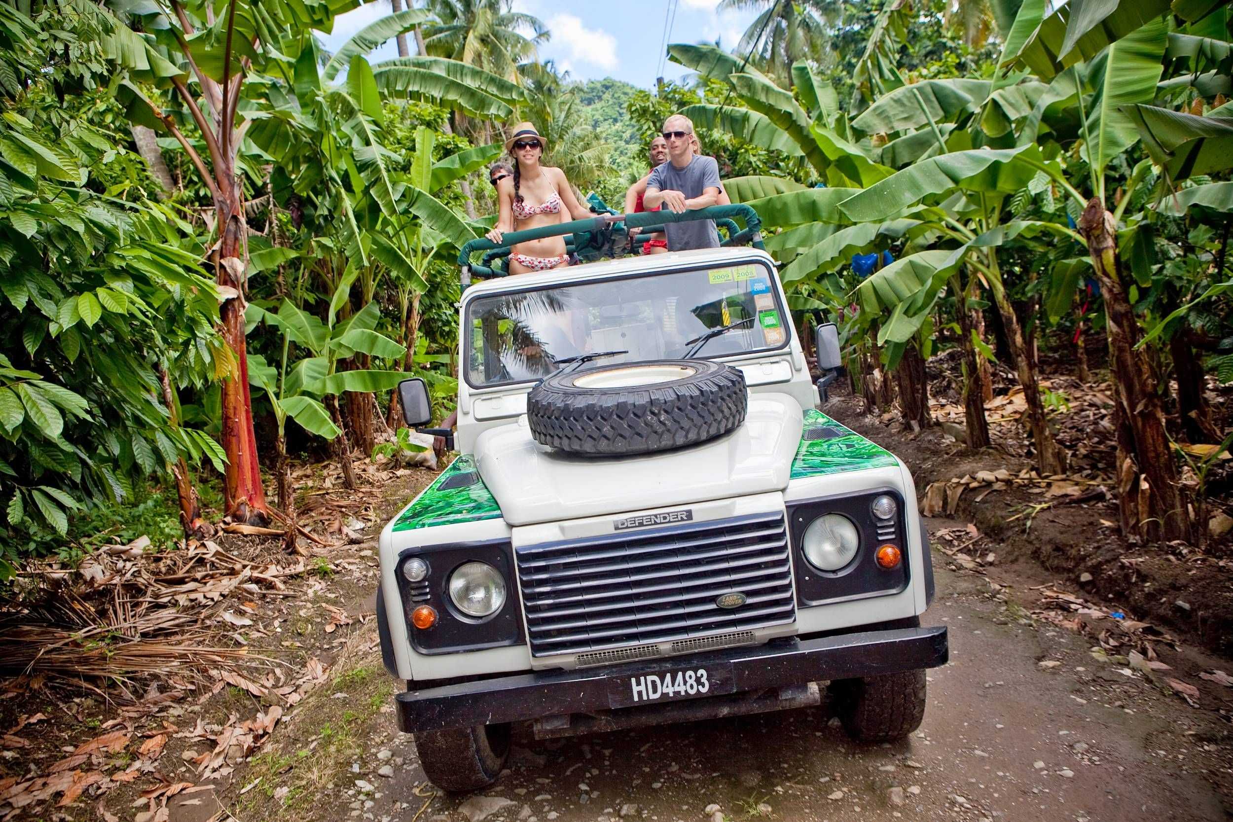 Rainforest Hike & Waterfall Safari – photo 1 of 7