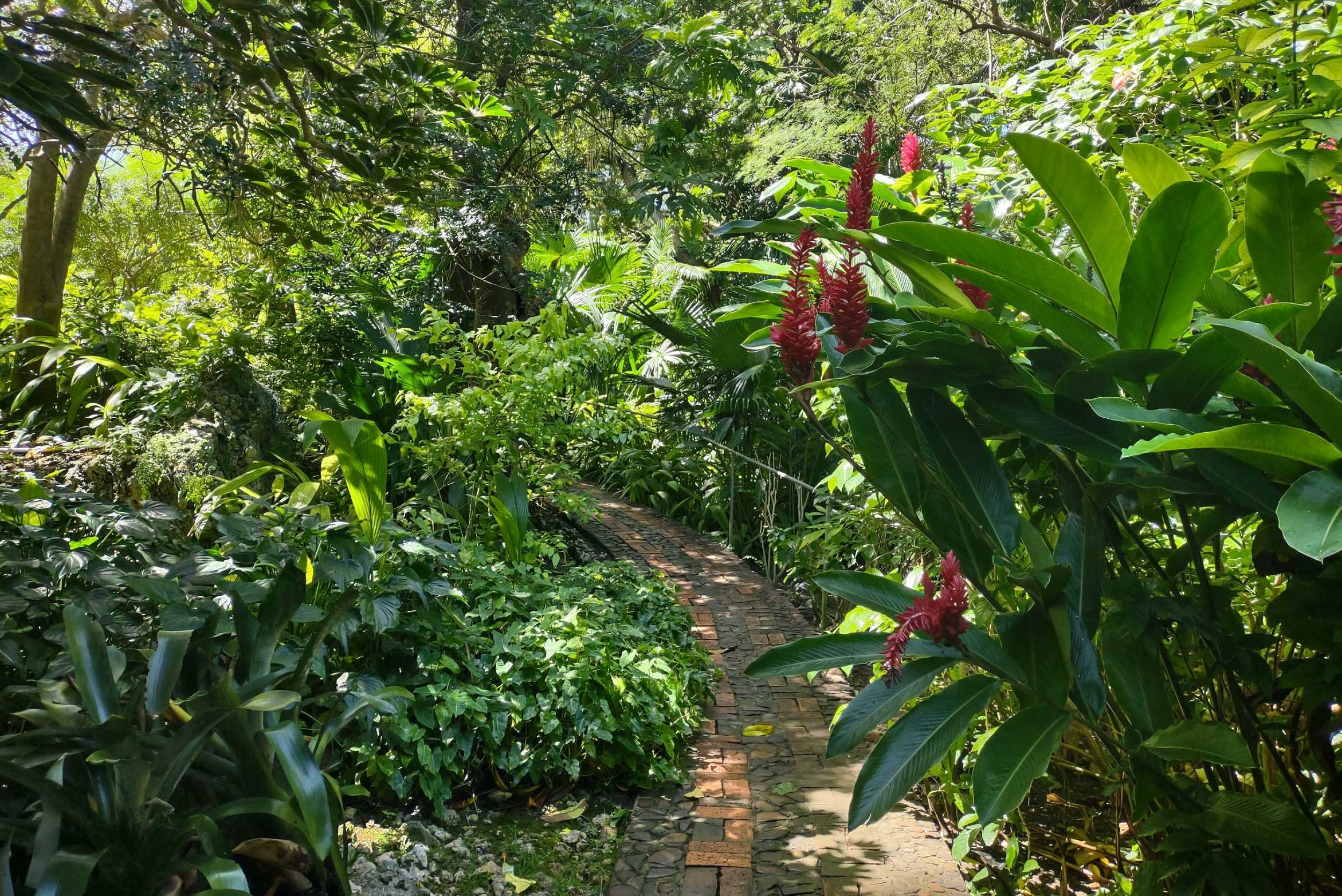 Andromeda Botanical Gardens Experience - 8 Acres – photo 2 of 7