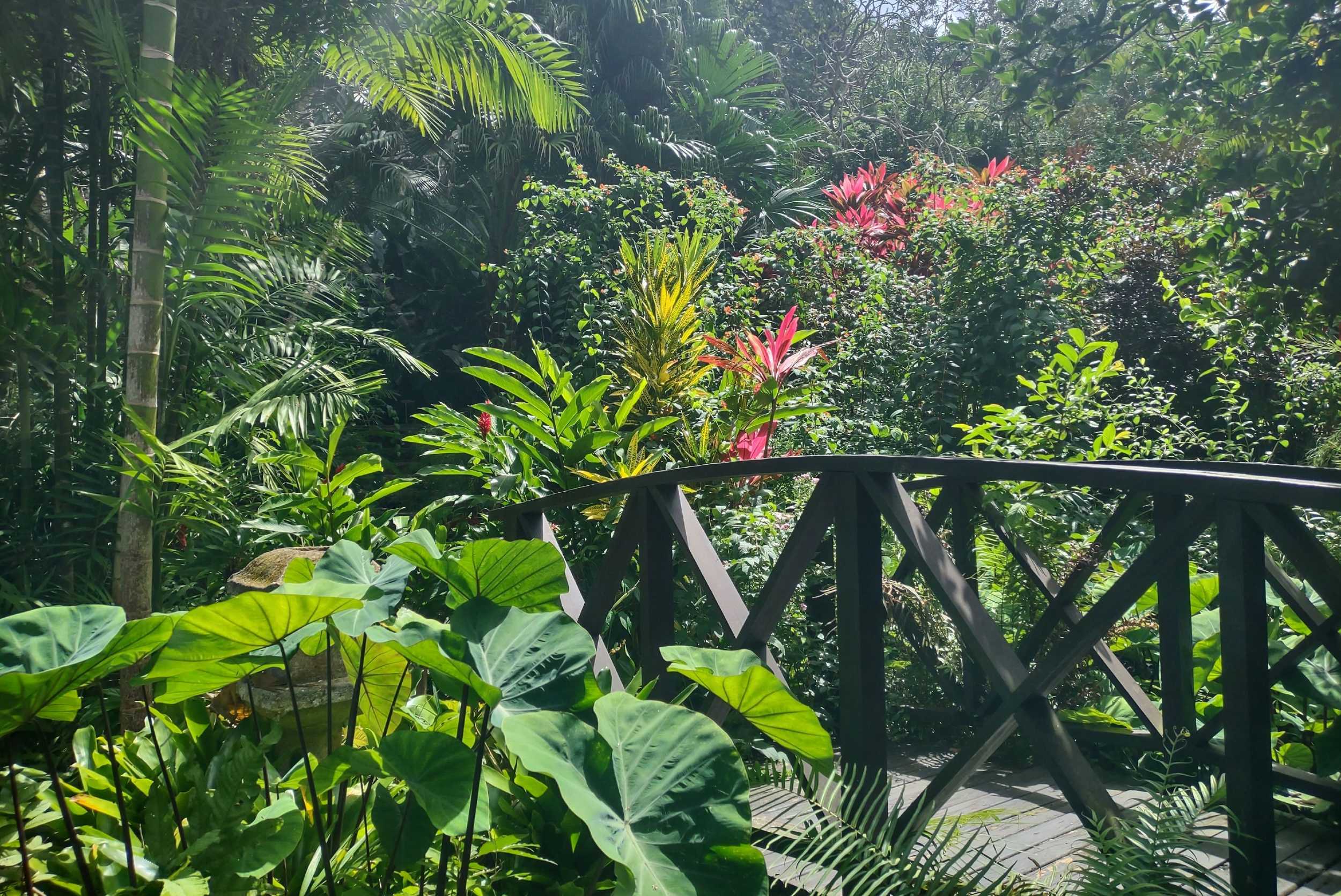 Andromeda Botanical Gardens Experience - 8 Acres – photo 5 of 7