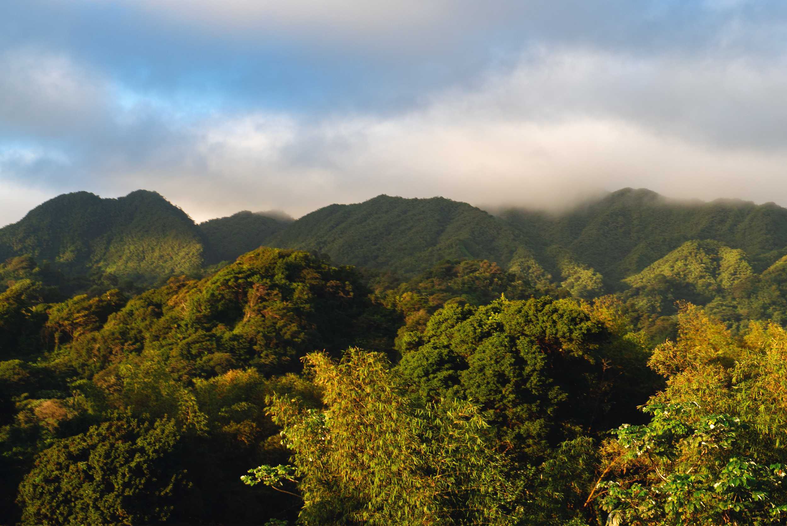 La Soufriere Leeward Hike – photo 3 of 7