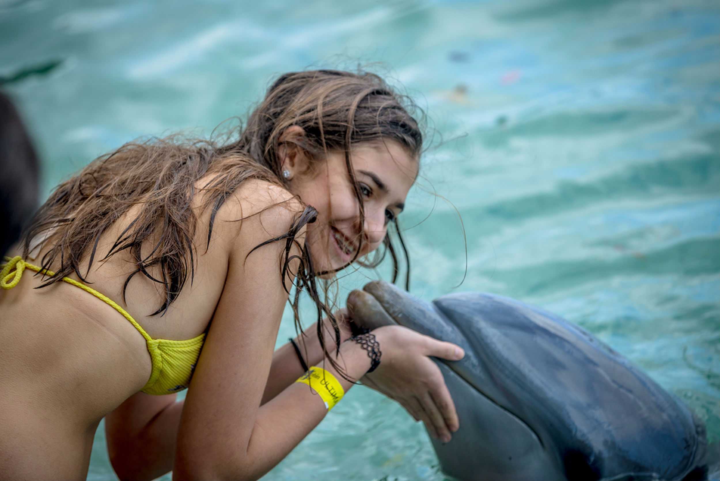 Dolphin Encounter Lucea – photo 1 of 3