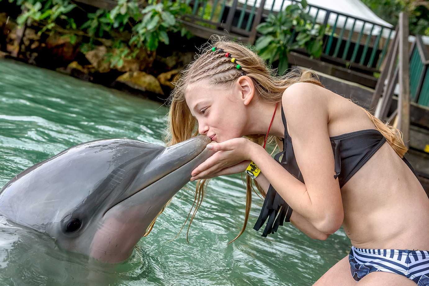Dolphin Encounter Lucea – photo 2 of 3