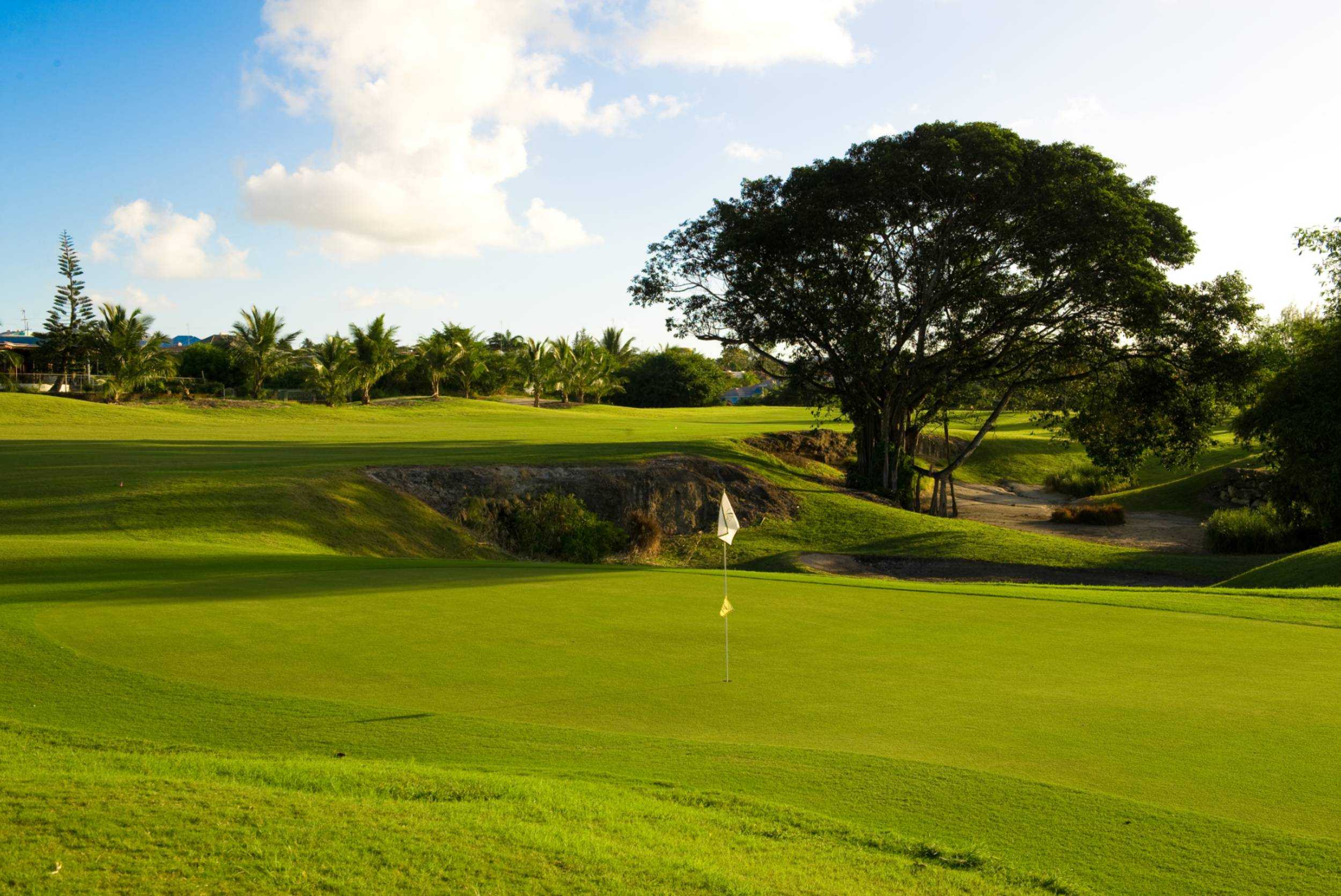 7 Days of Unlimited Golf at the Barbados Golf Club – photo 1 of 5