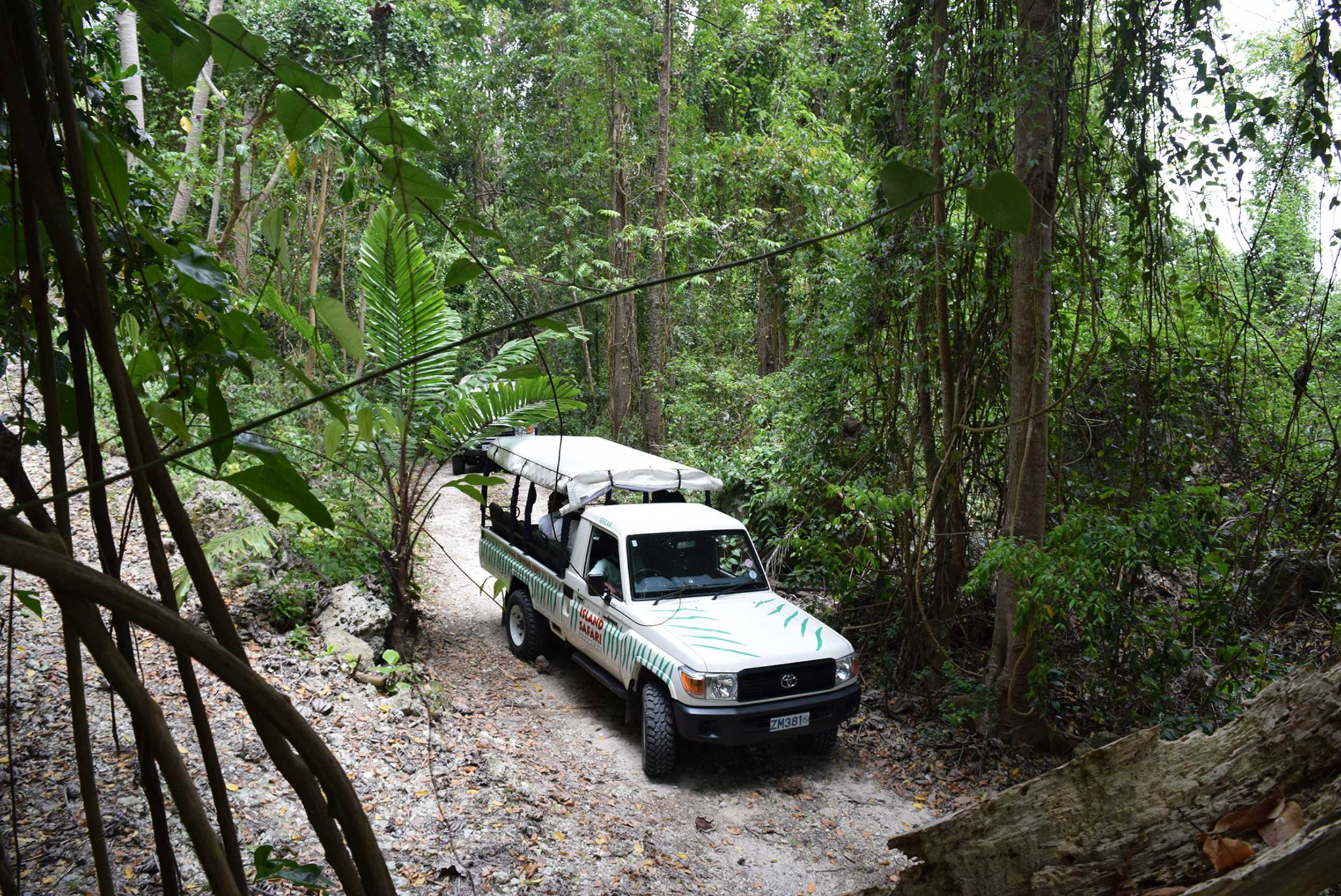 Discover Barbados 4x4 Jeep Highlight – photo 4 of 4