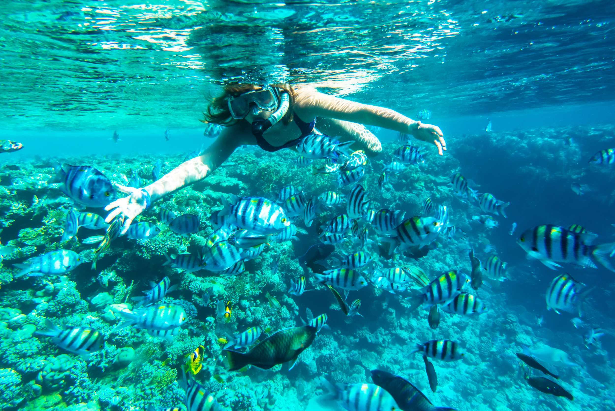 Caicos Half Day Snorkel Cruise – photo 4 of 9