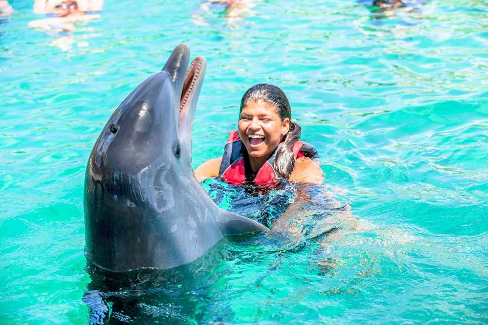 Blue Lagoon Island Dolphin Swim Experience – photo 3 of 3