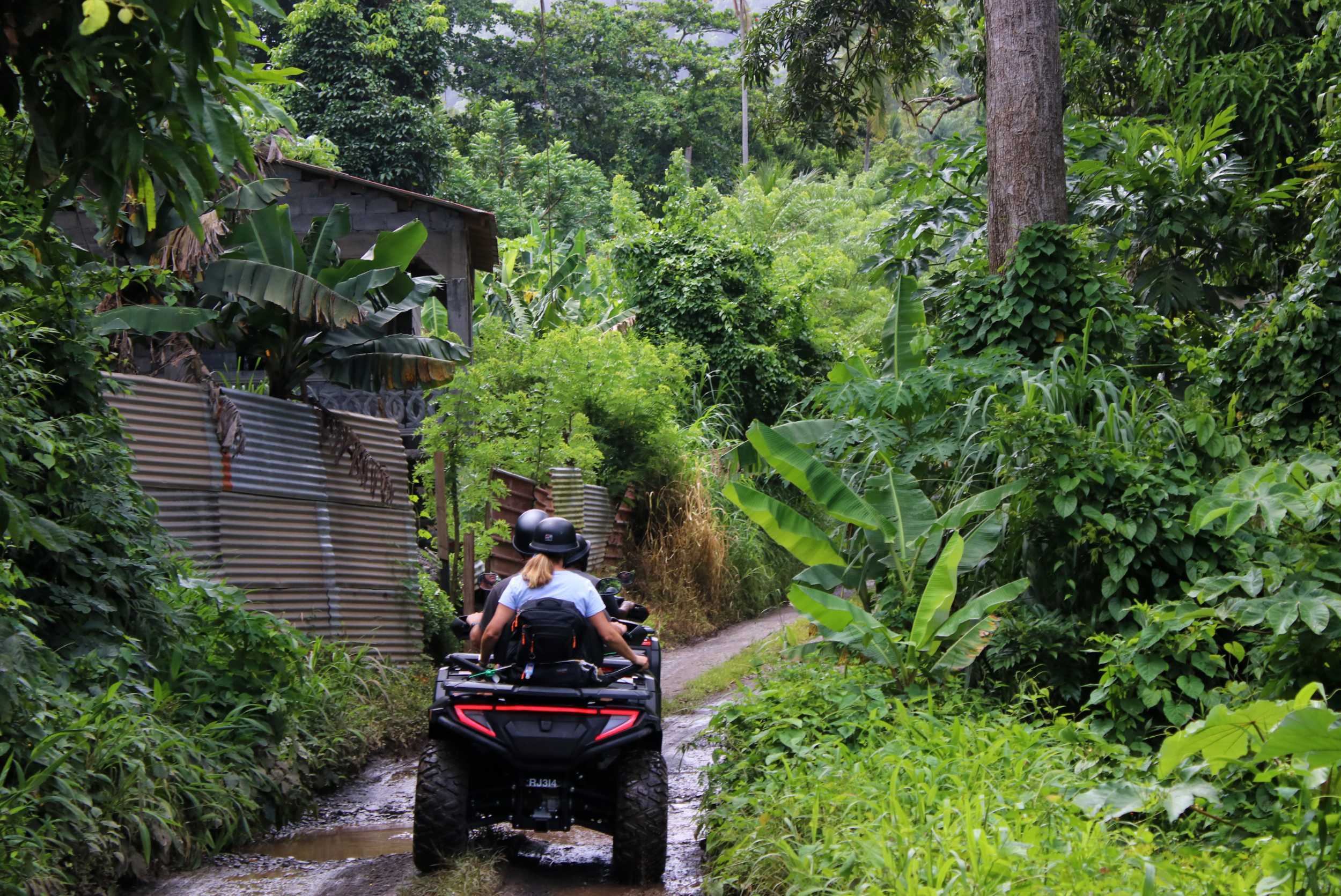 Bellwood Rainforest & ATV Adventure – photo 1 of 6