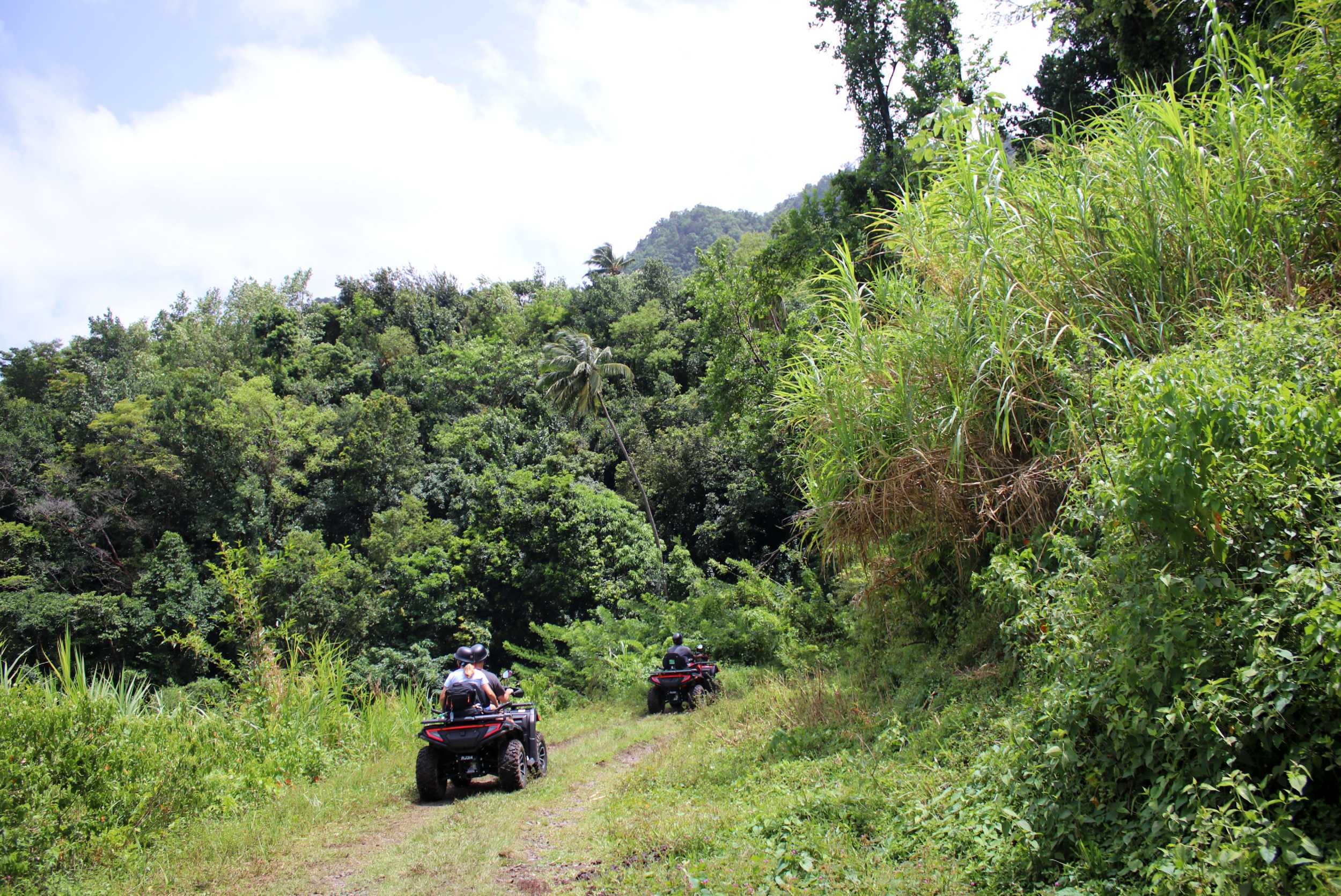 Bellwood Rainforest & ATV Adventure – photo 4 of 6