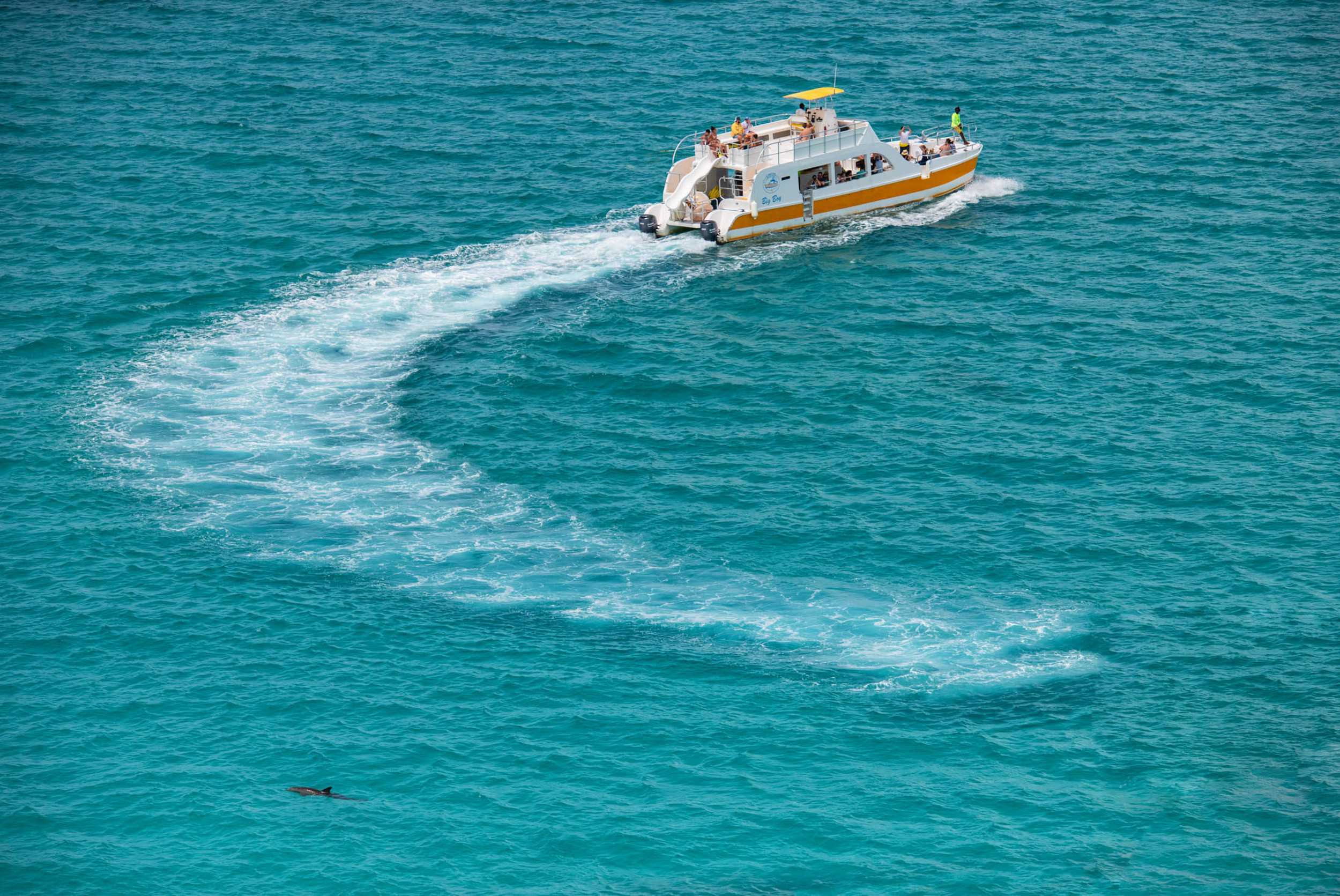 Caicos Half Day Catamaran Charter – photo 5 of 5