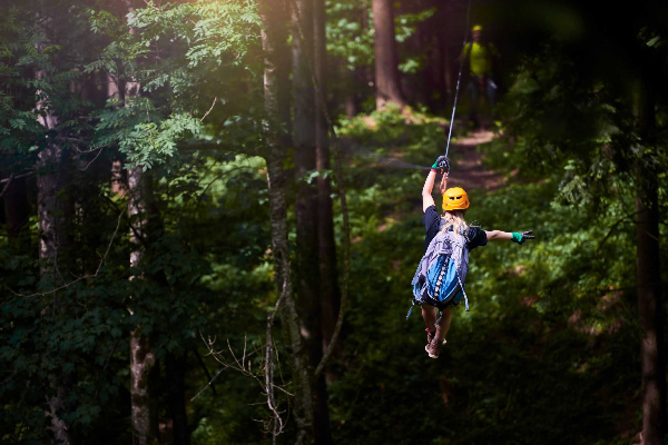 Treetop Zip Trip