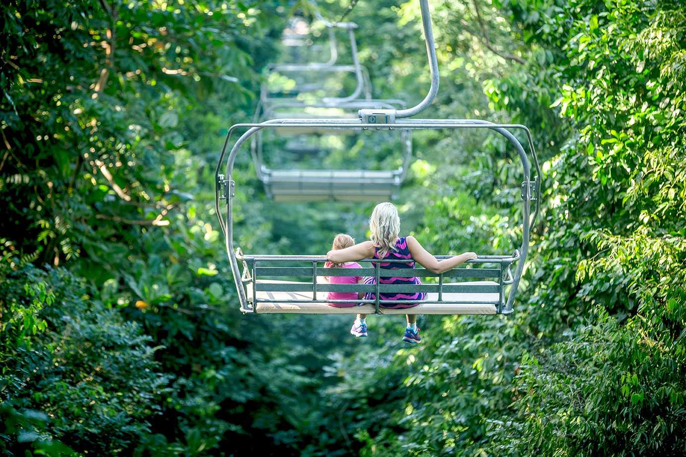 Jamaica Sky Explorer and Zipline Experience – photo 3 of 14