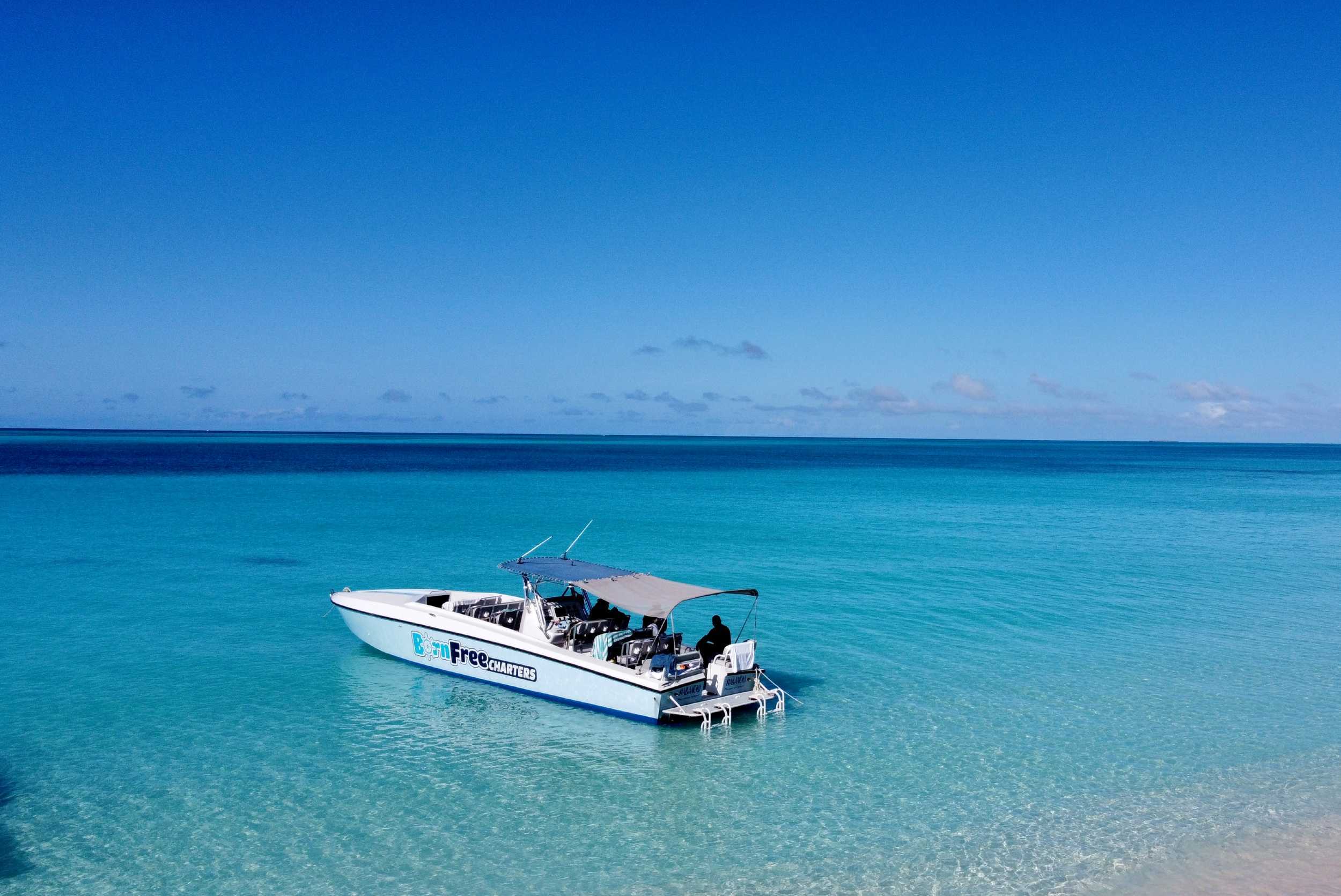 Eleuthera Pink Sands Experience and Swimming Pigs – photo 2 of 6