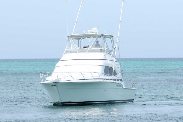 Deep Sea Half Day Fishing Charter Turks & Caicos