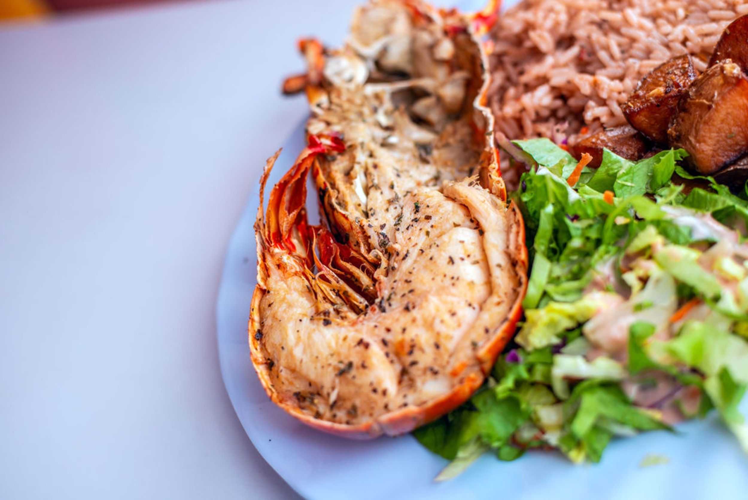 Antigua Seafood Lunch Cruise – photo 4 of 6