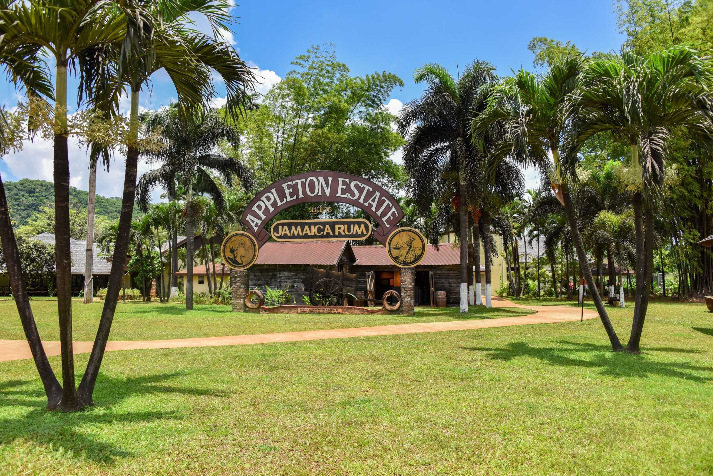 YS Falls and Appleton Estate Rum Tour – photo 3 of 10