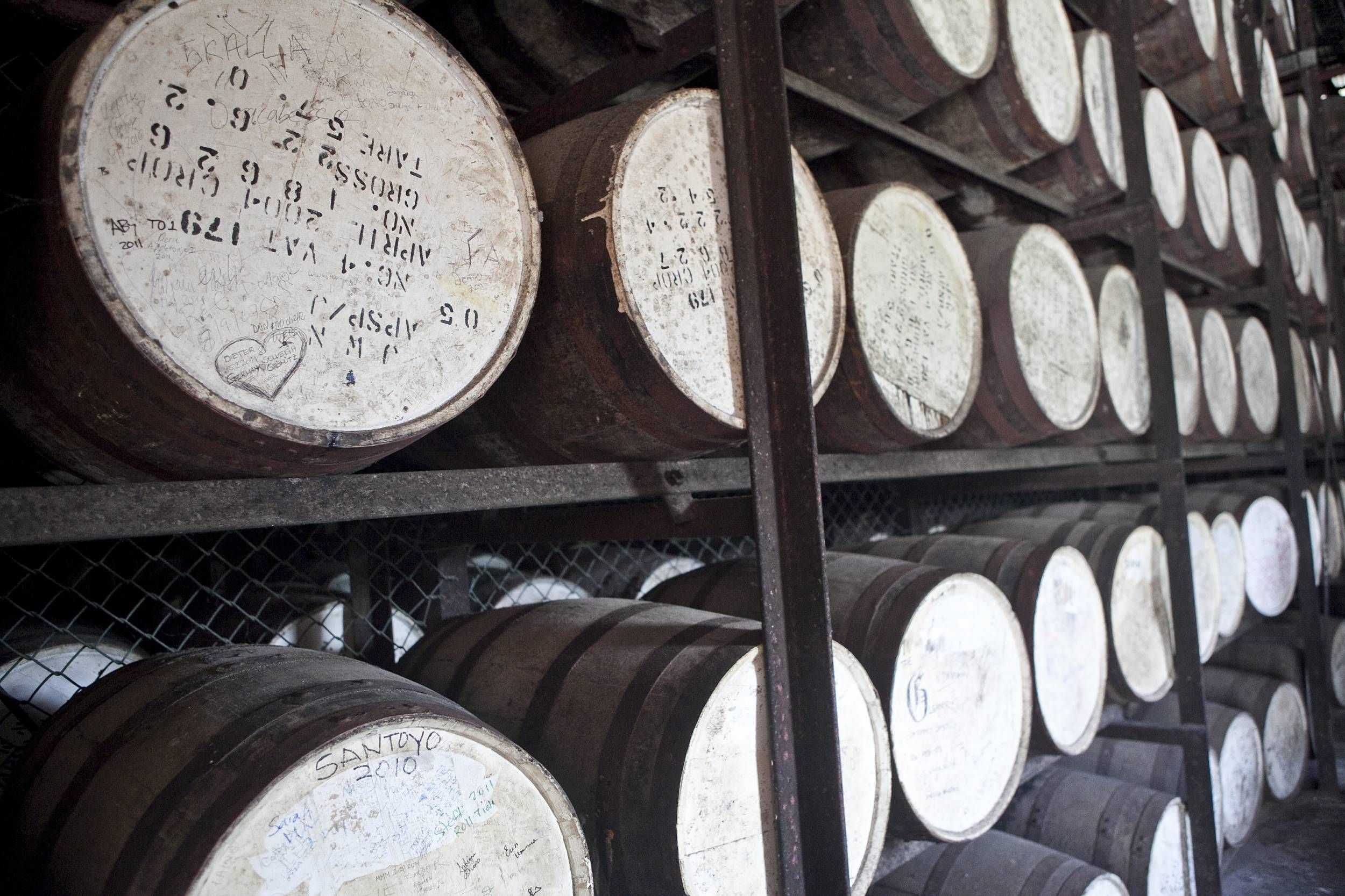 YS Falls and Appleton Estate Rum Tour – photo 4 of 10